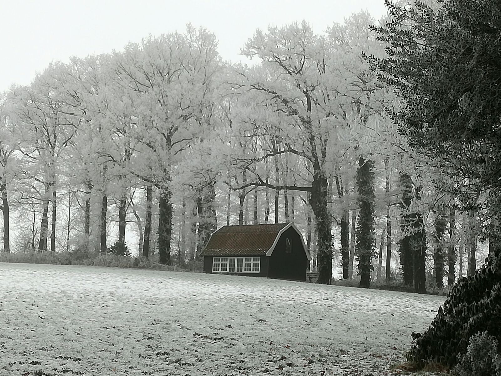 - image: 23