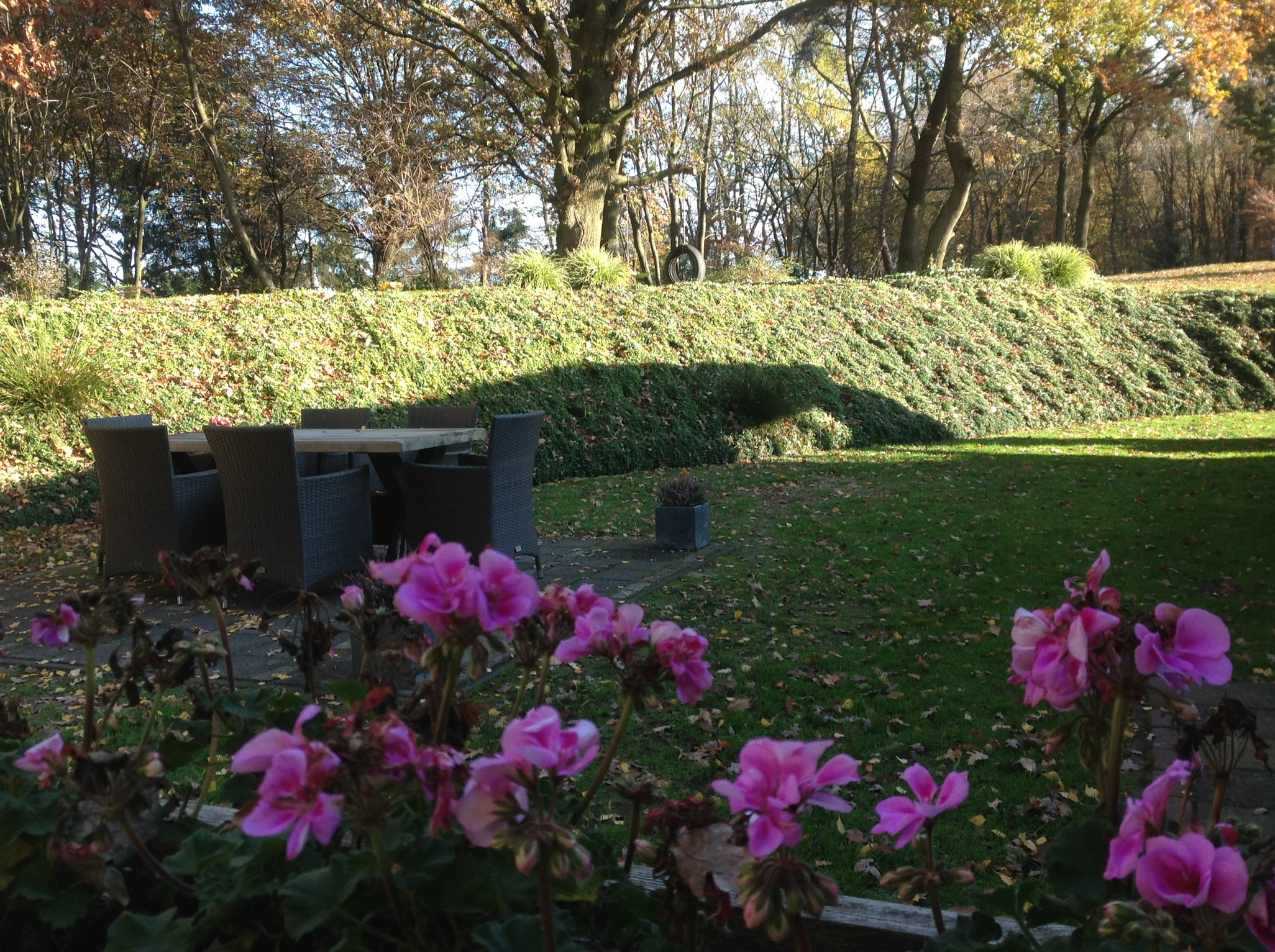 Nature house in Afferden
