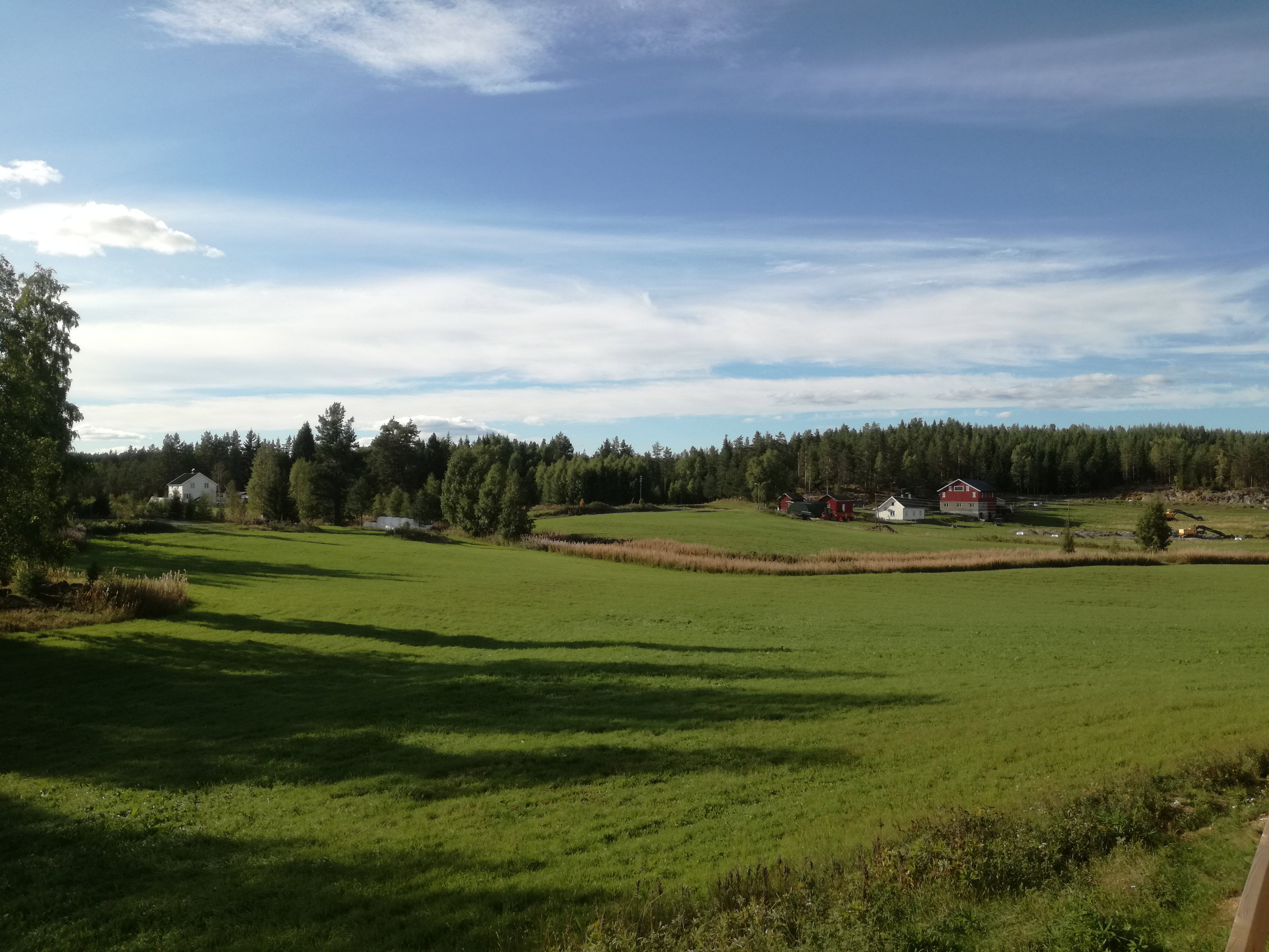 - image: 24