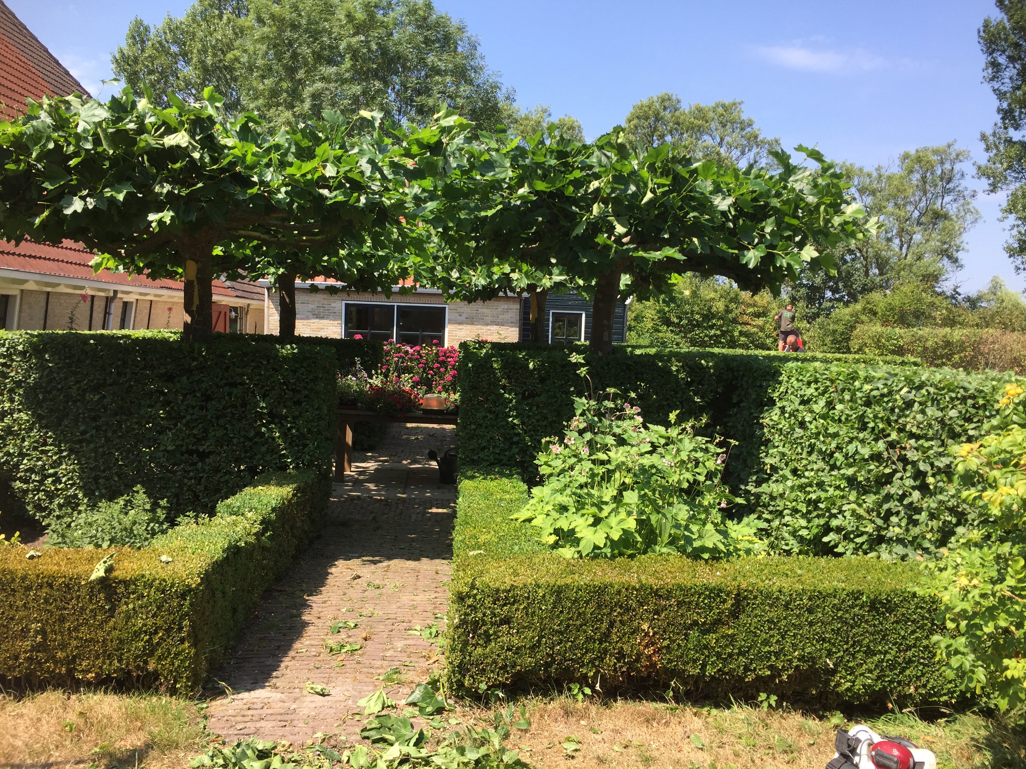 Naturhäuschen in Oudemirdum