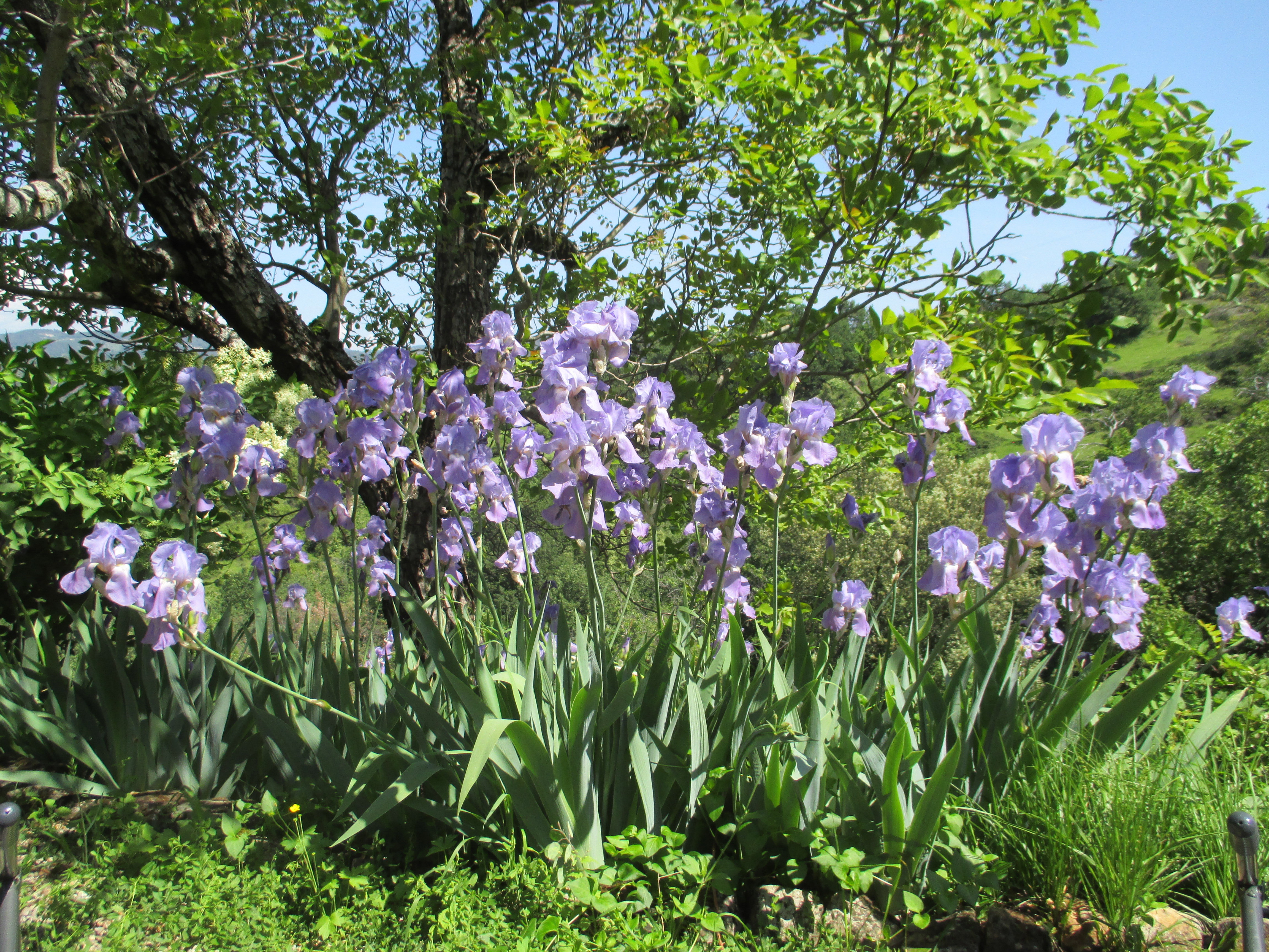 Maison nature à Saint-Vincent-de-Durfort