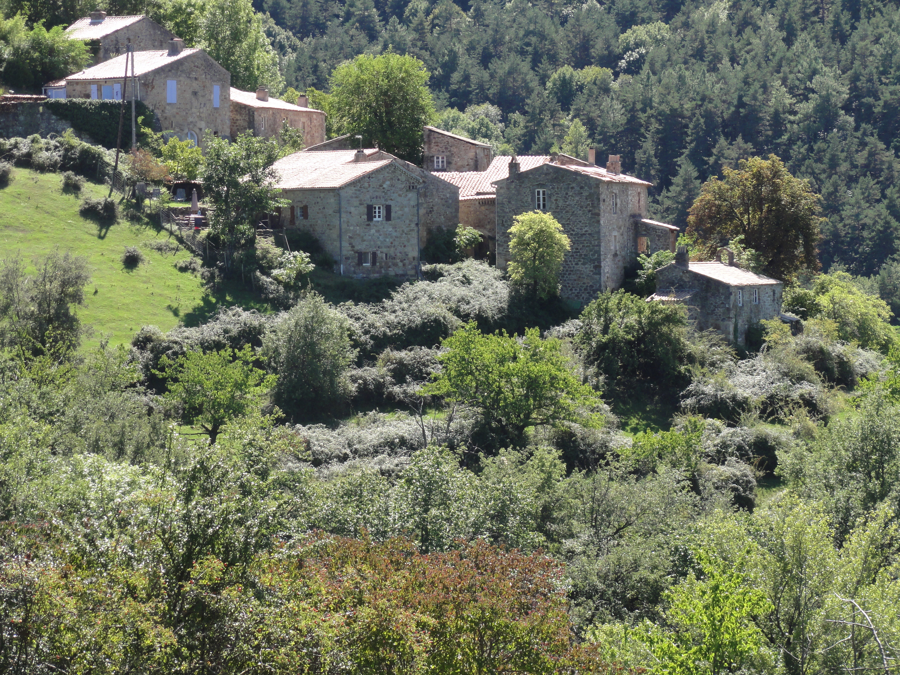 Maison nature à Saint-Vincent-de-Durfort