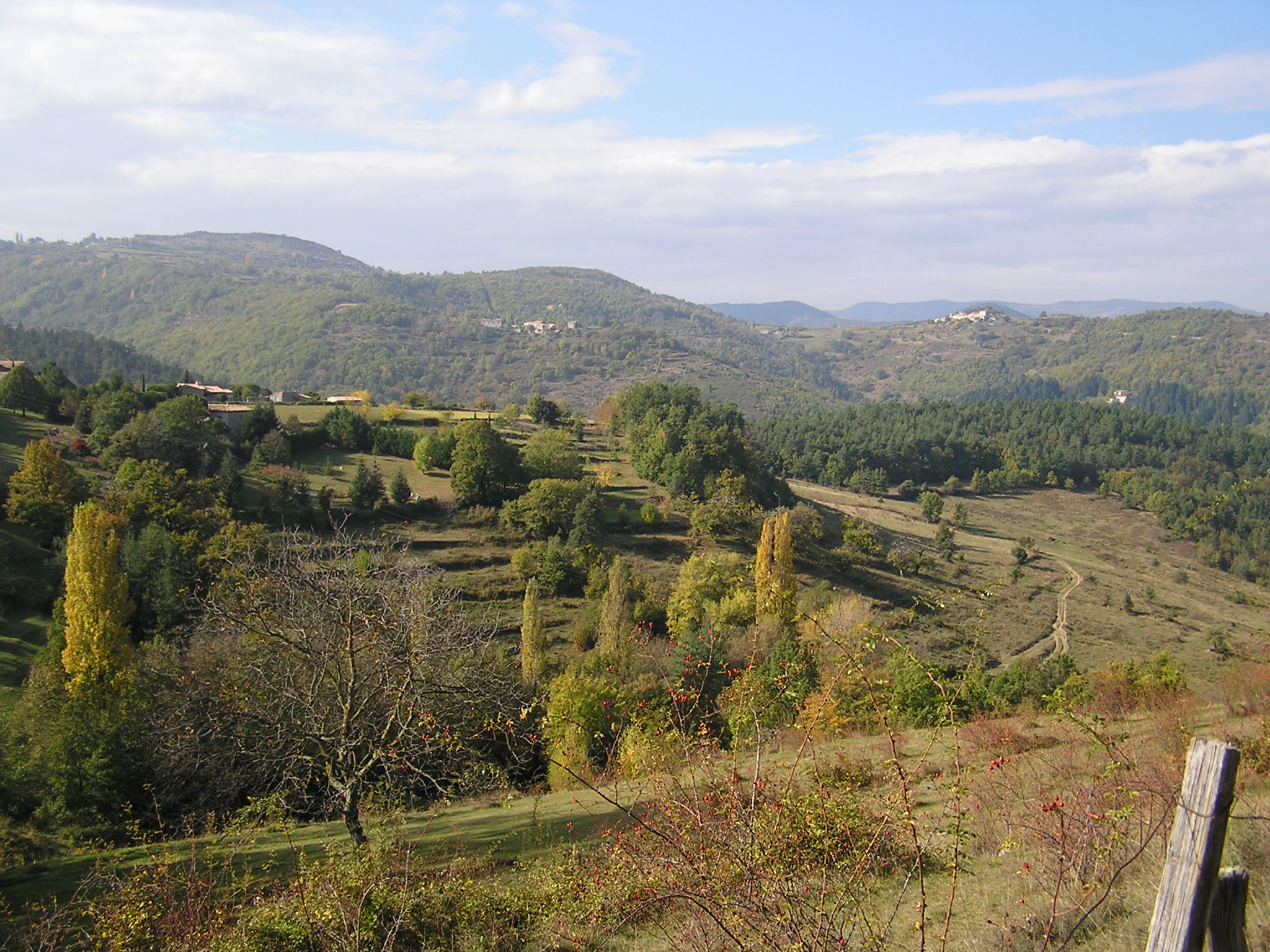 - image: 15