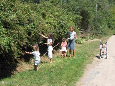 Natuurhuisje in Lignac