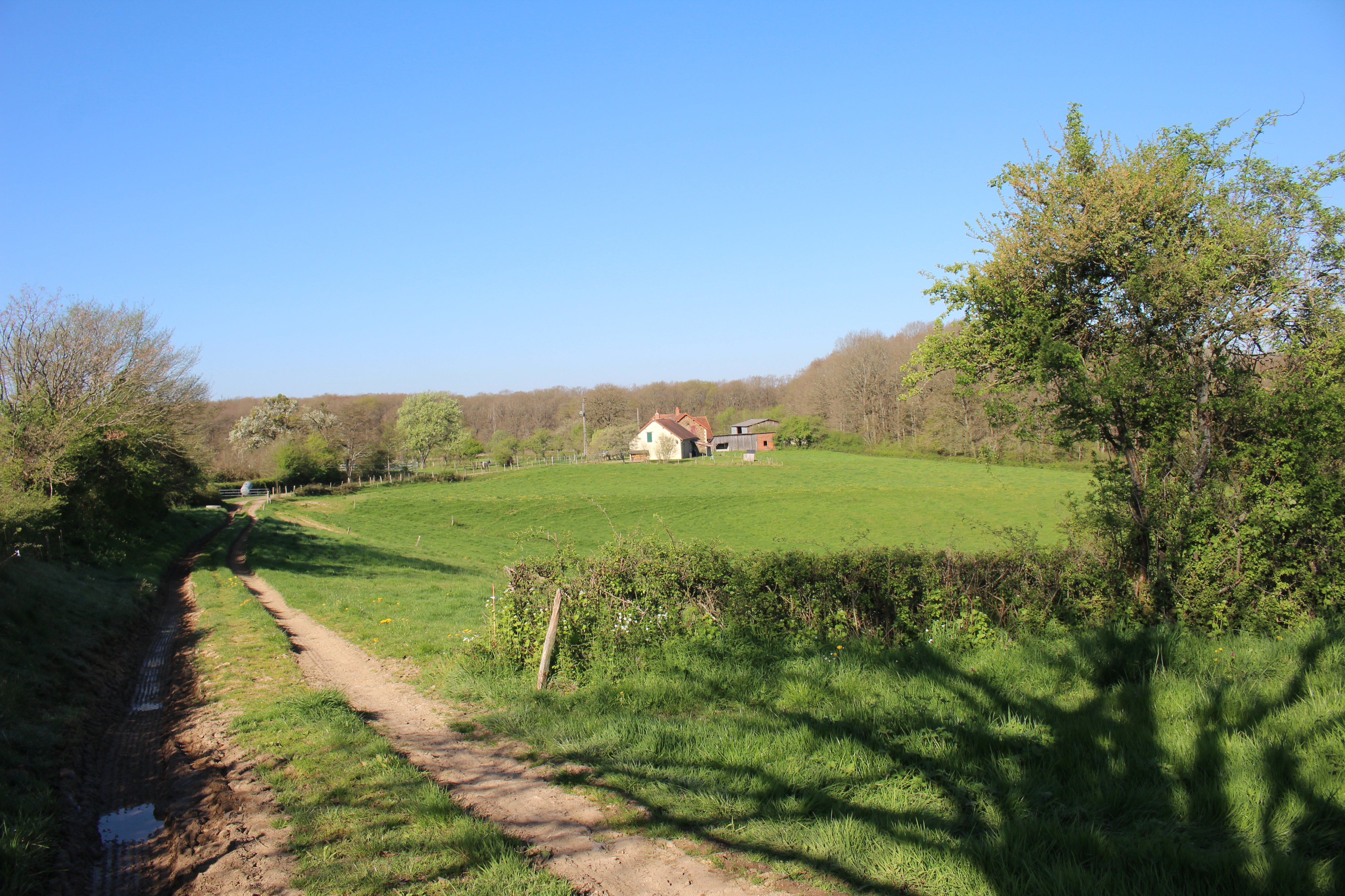 Nature house in Semelay