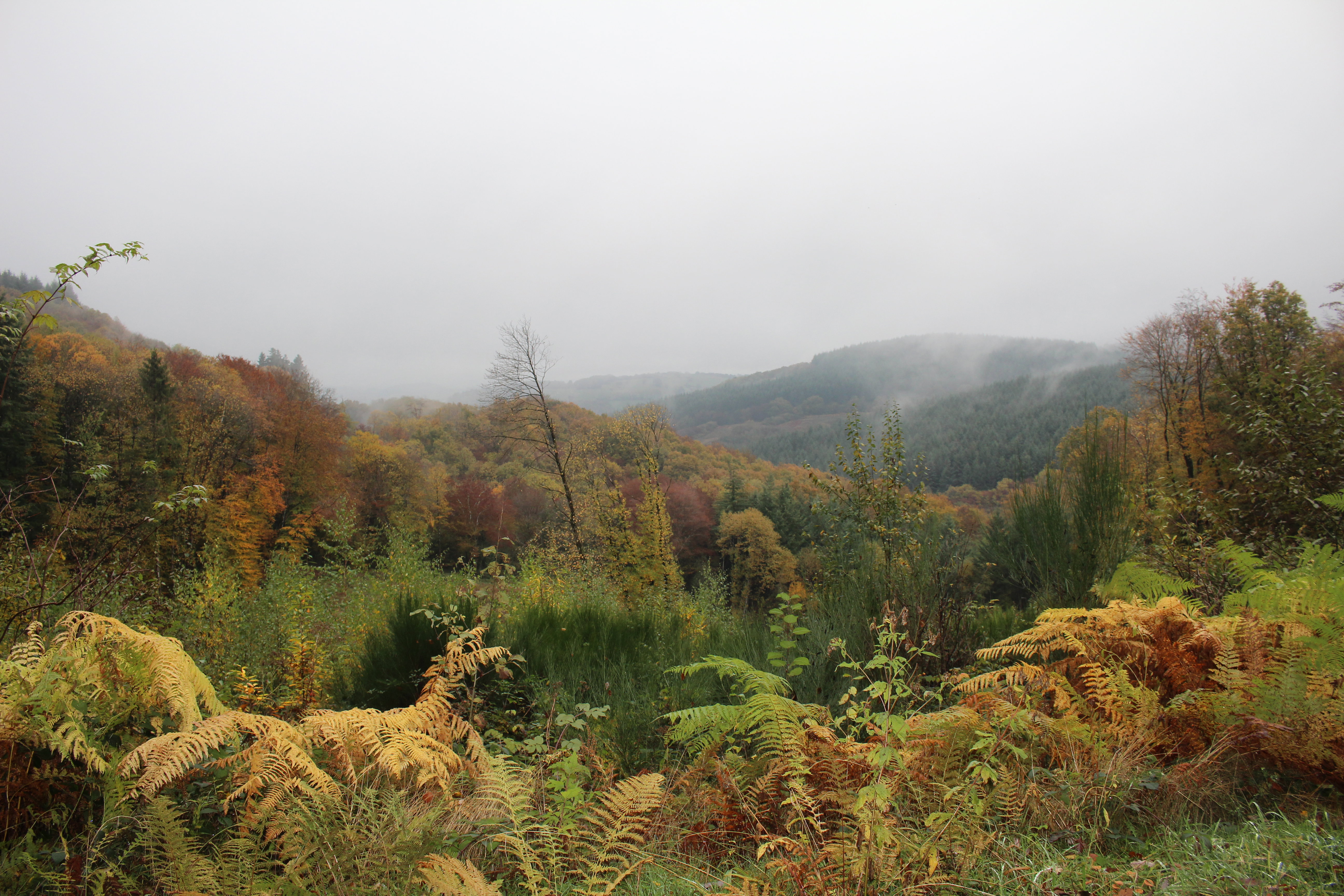 - image: 13