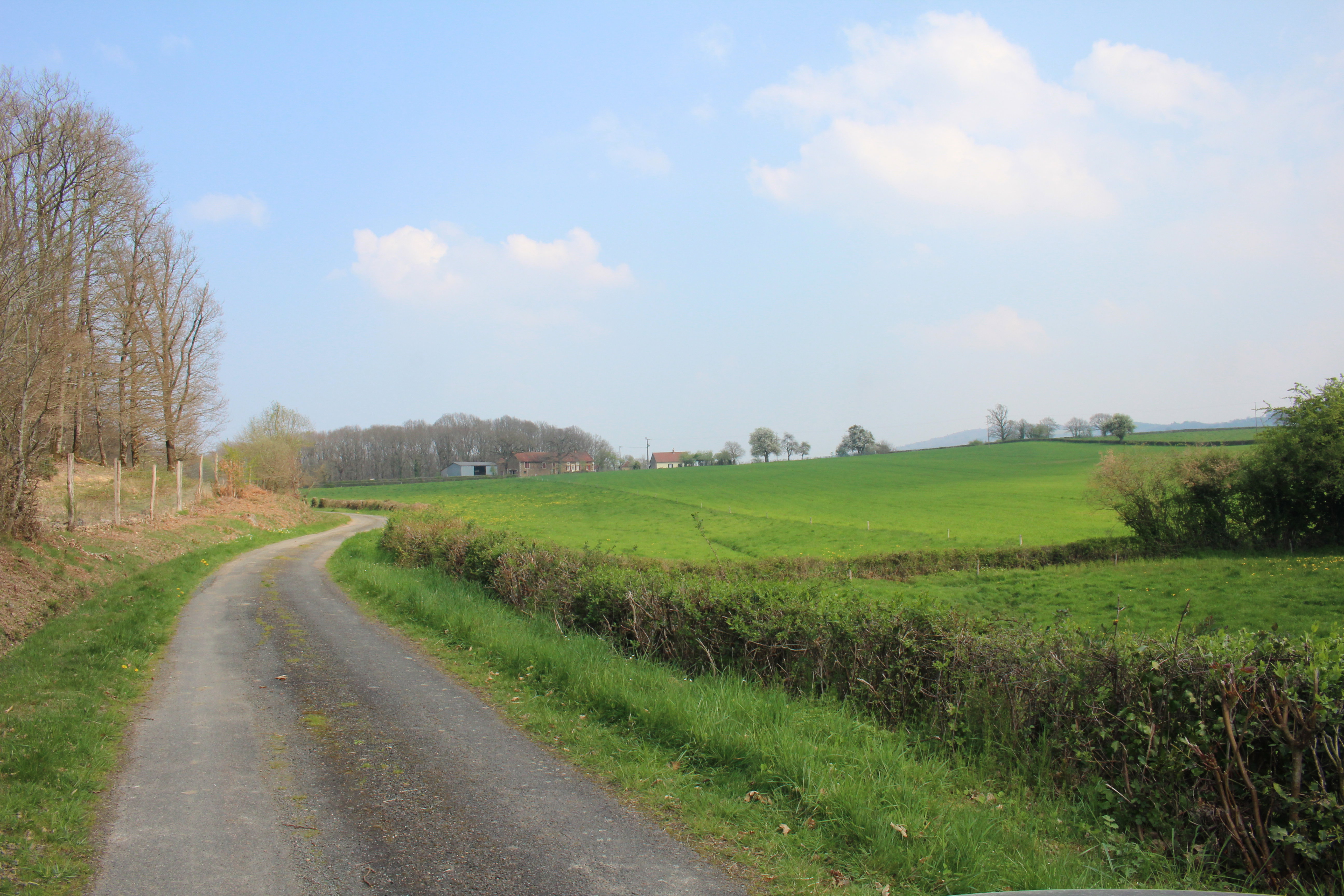 - image: 15