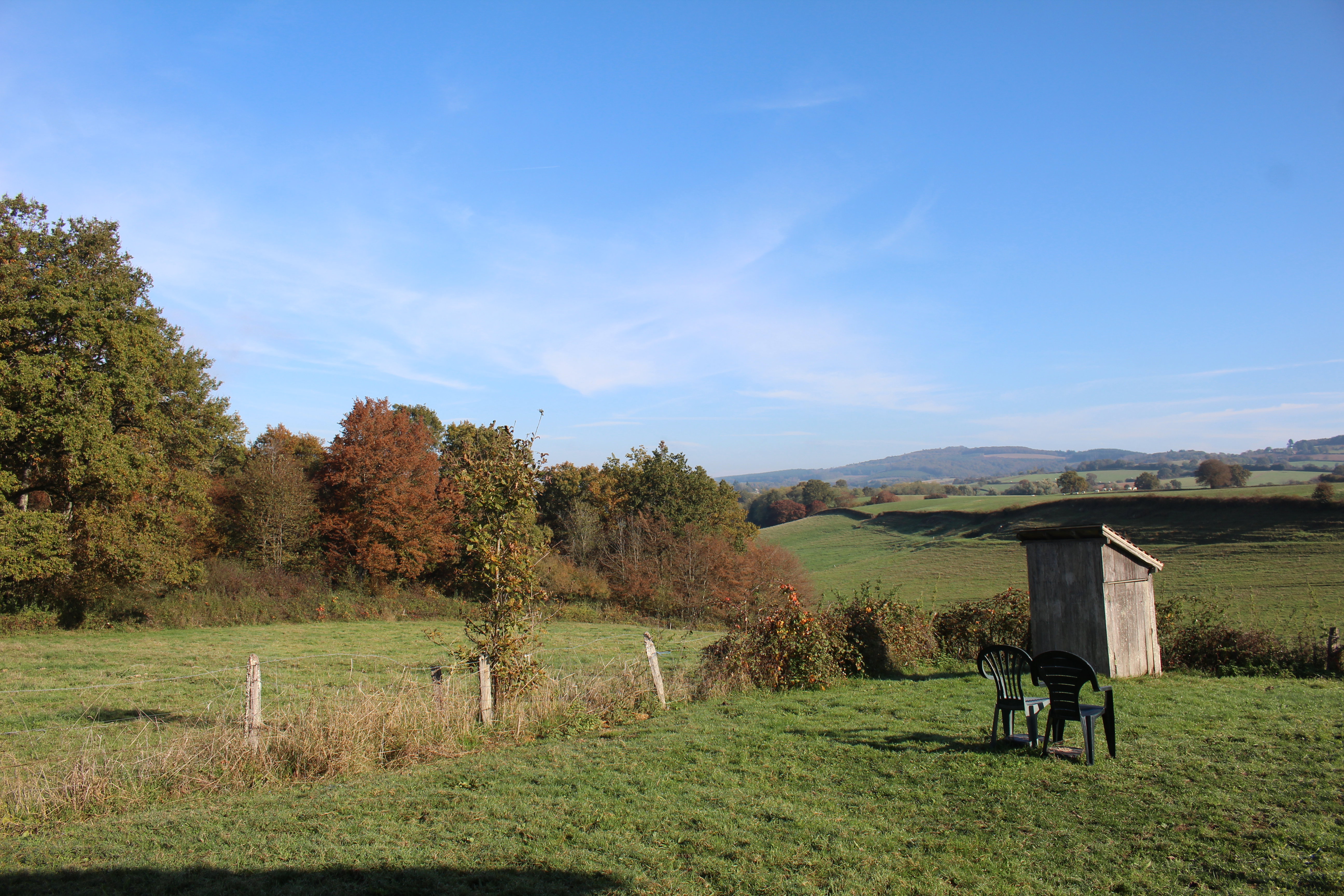 - image: 11