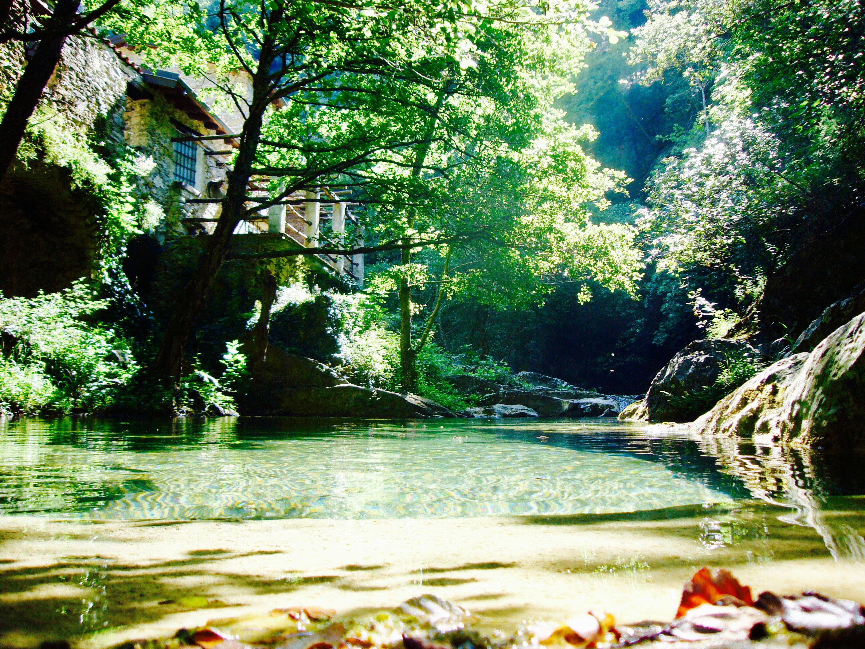 - image: 14