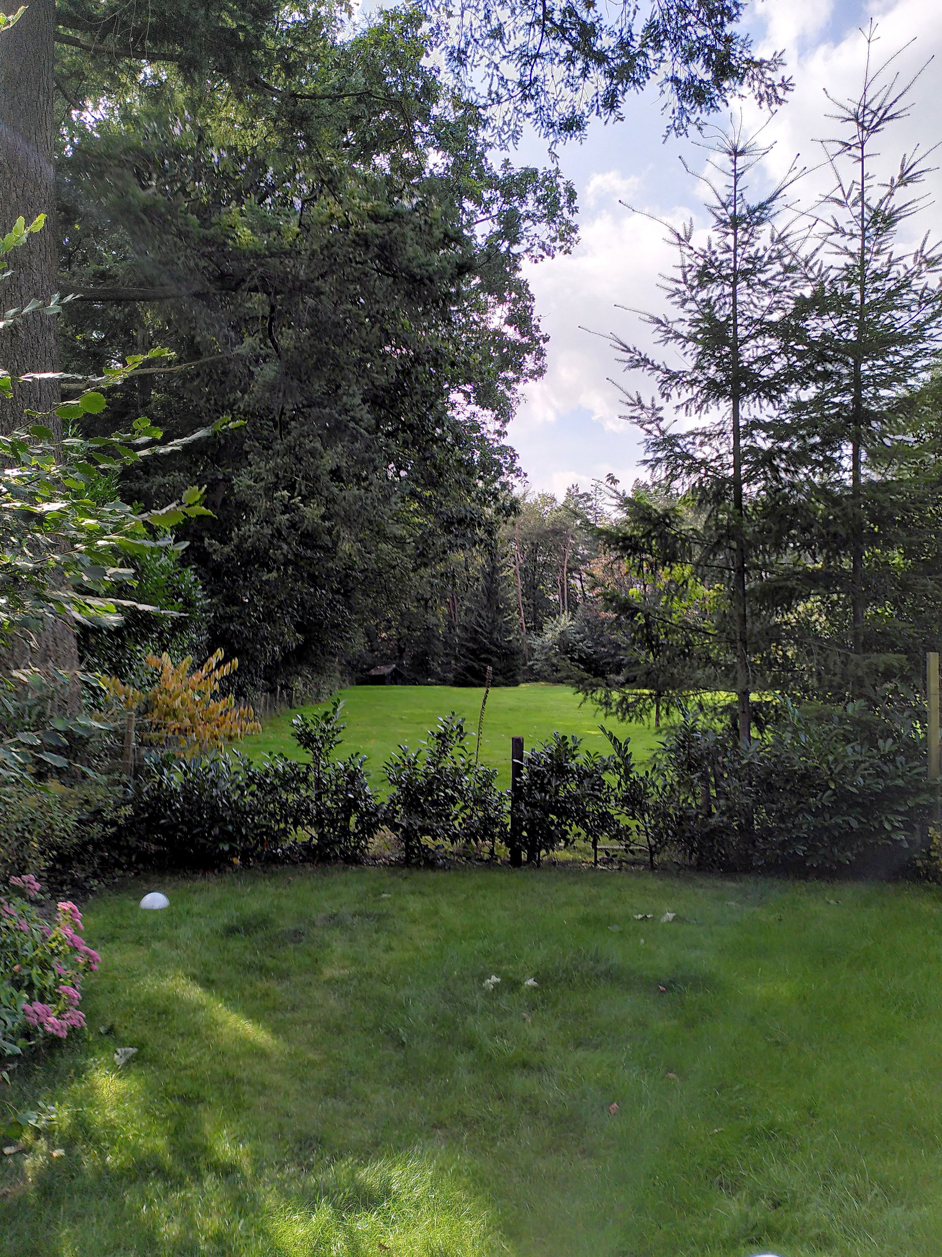Maison nature à Eext