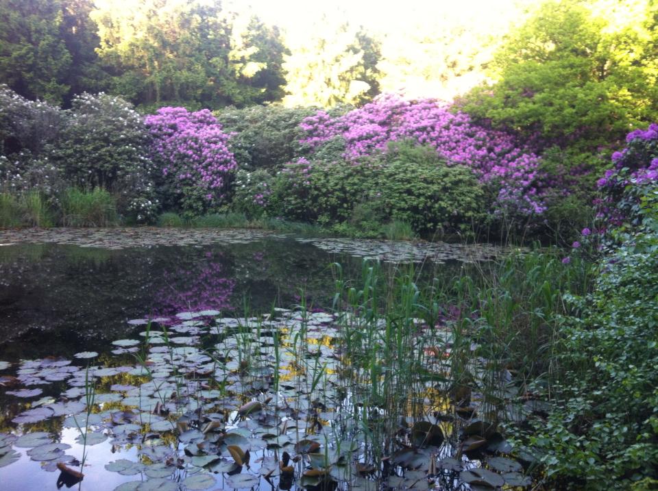 Naturhäuschen in Eext