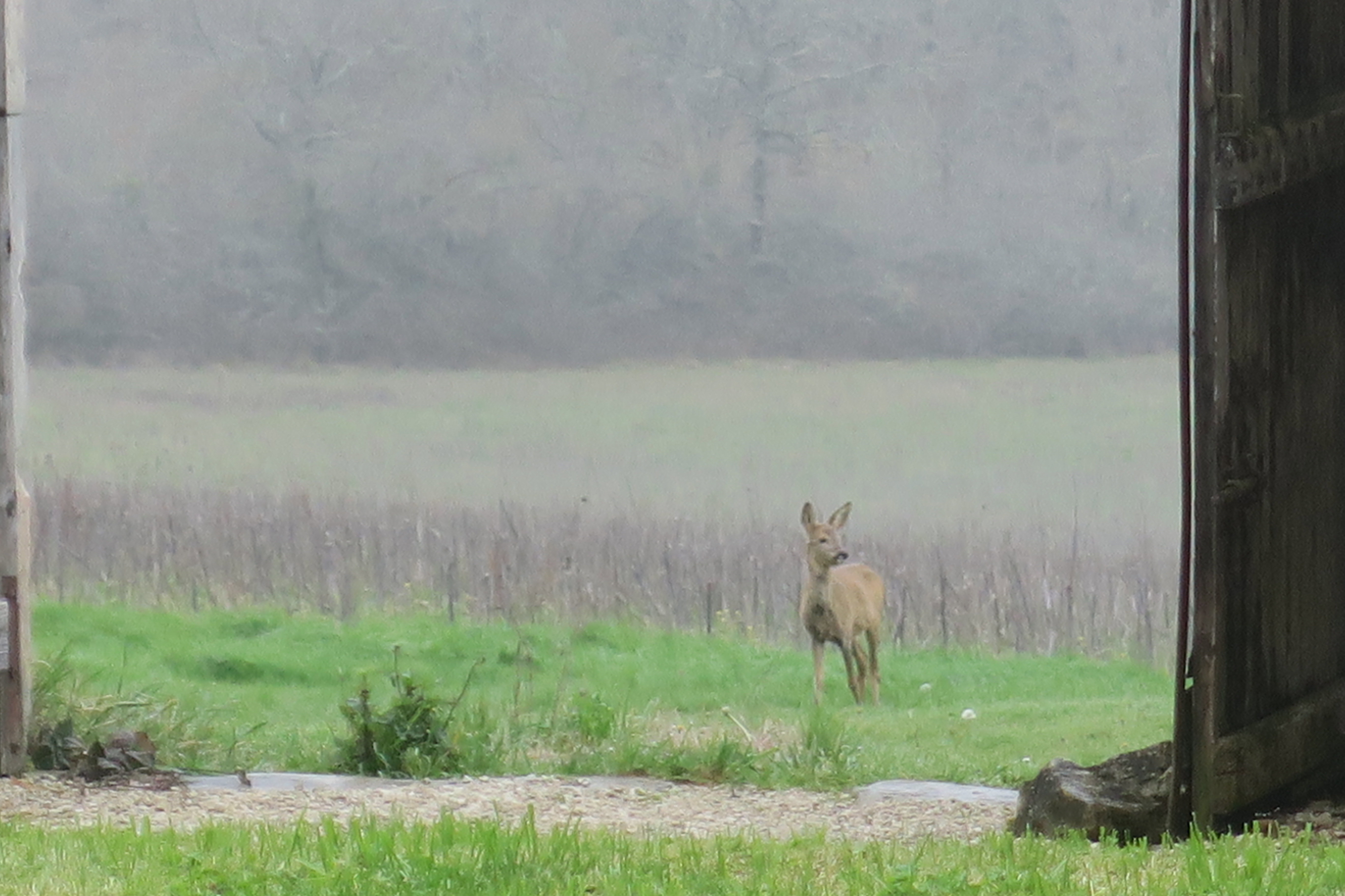 Natuurhuisje in Thézac