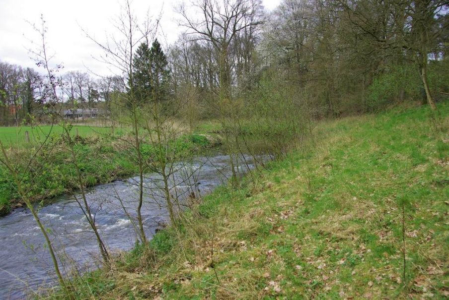 - image: 14