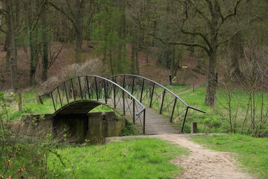 - image: 11