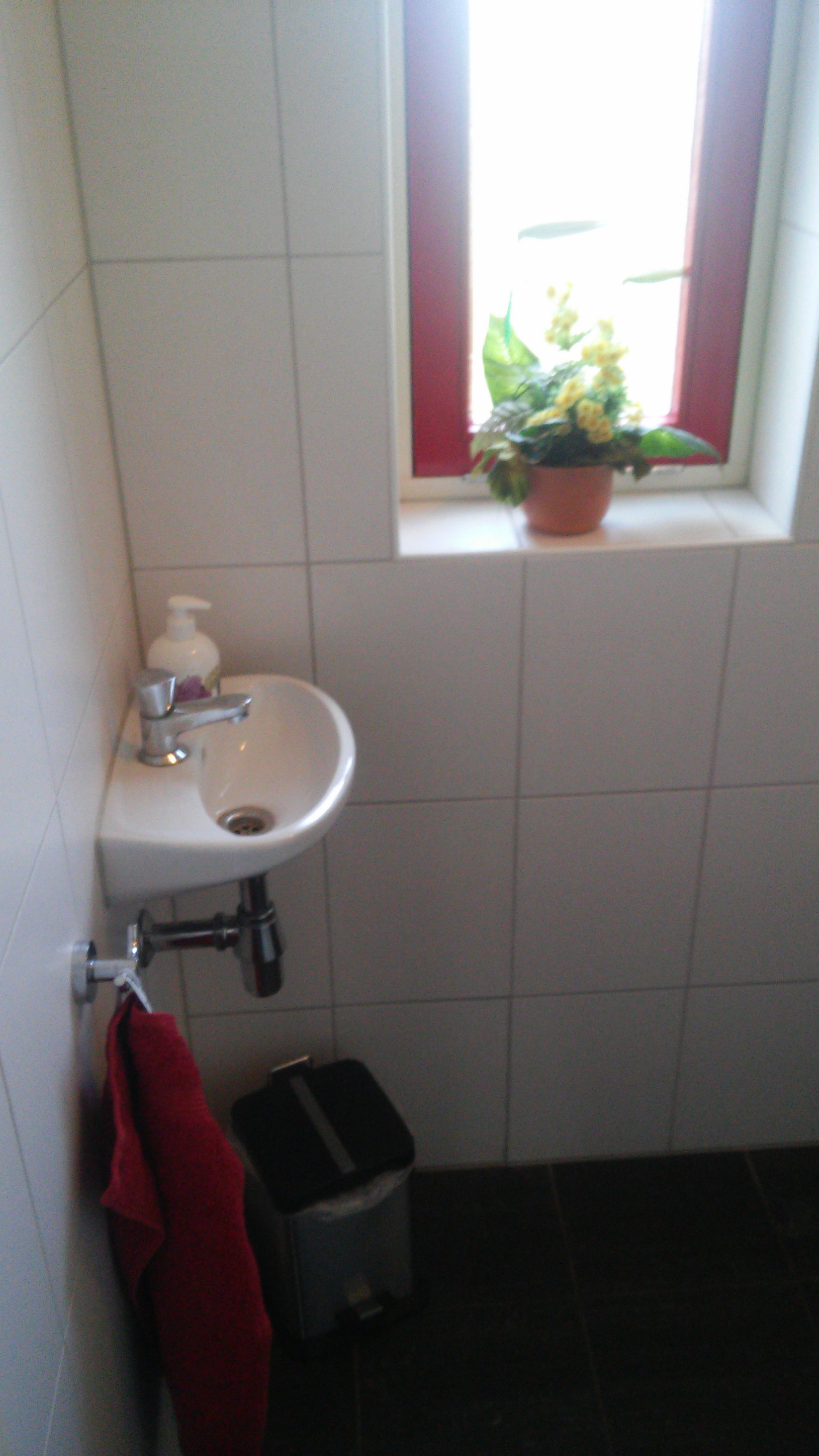 - image: 24