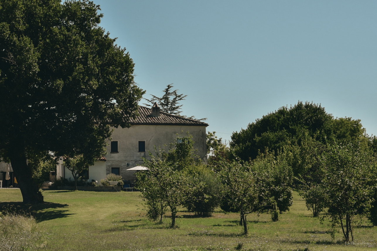 - image: 16