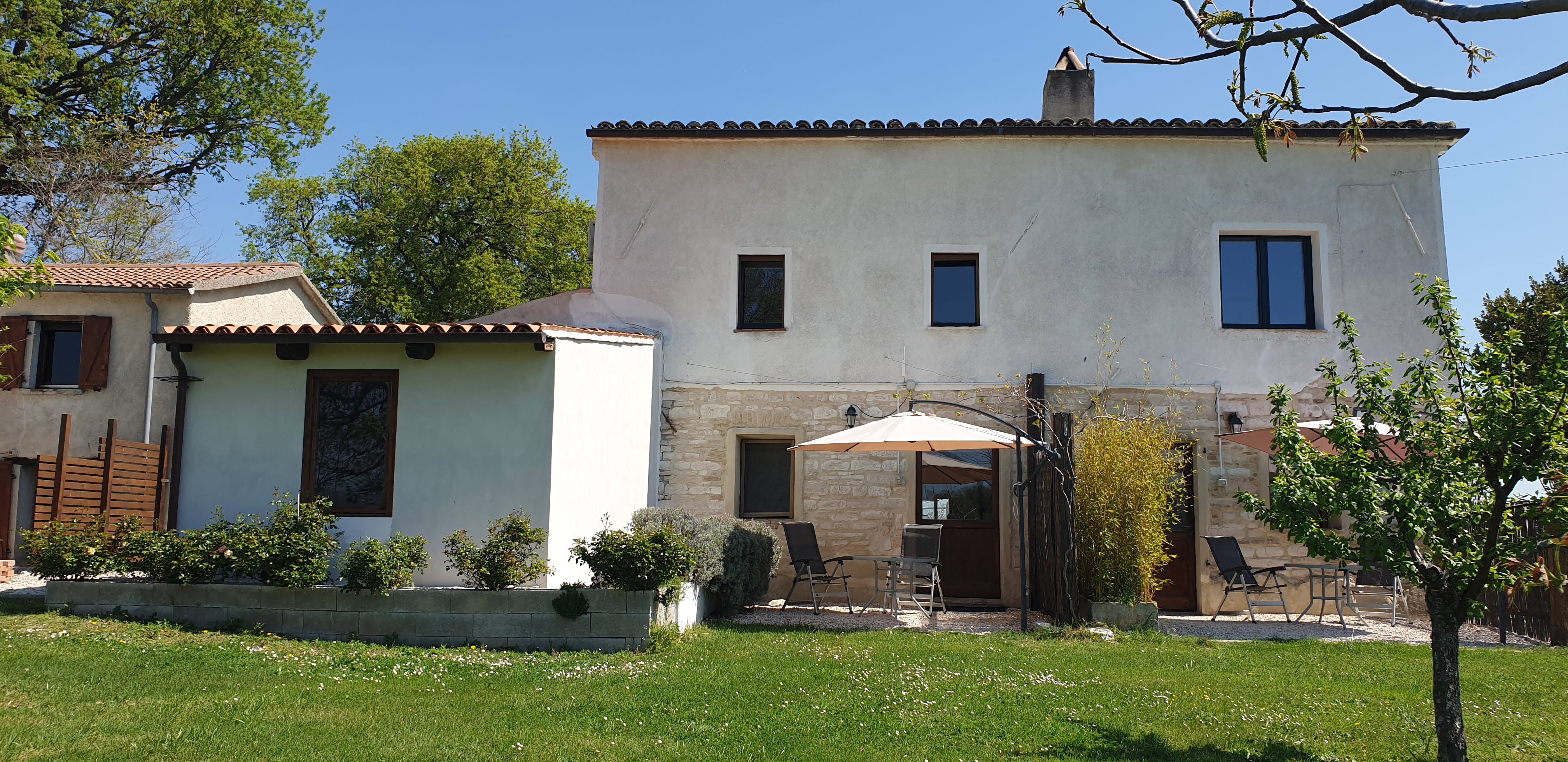 - image: 11