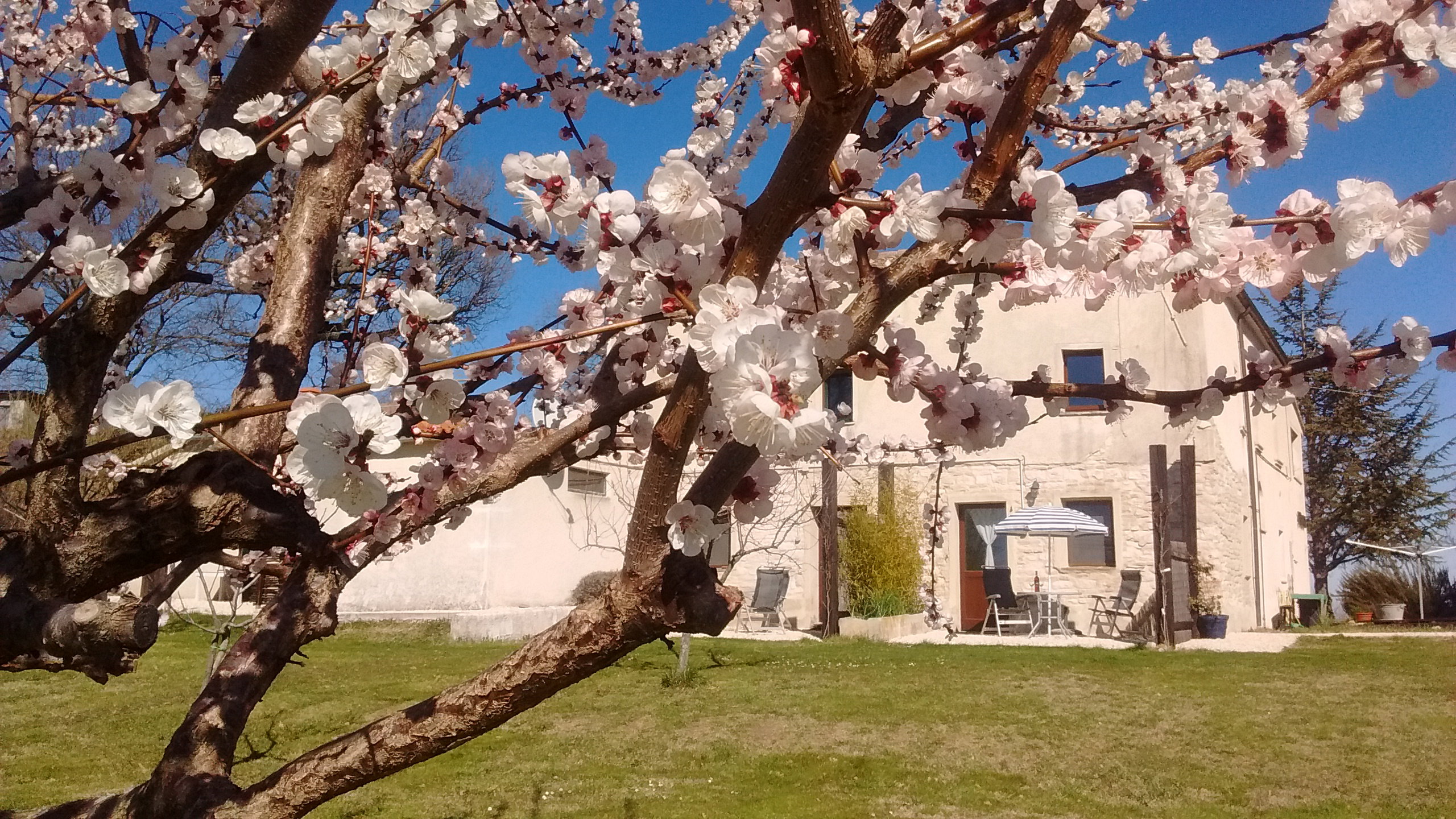 Maison nature à Pergola