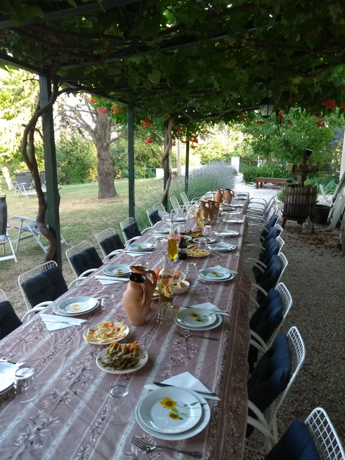 - image: 11