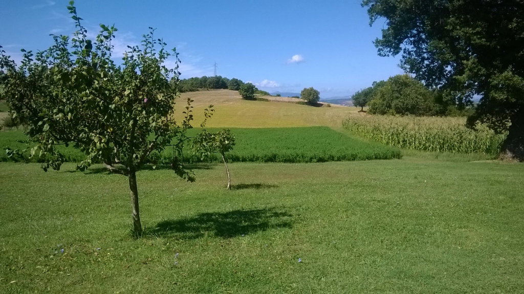 - image: 16