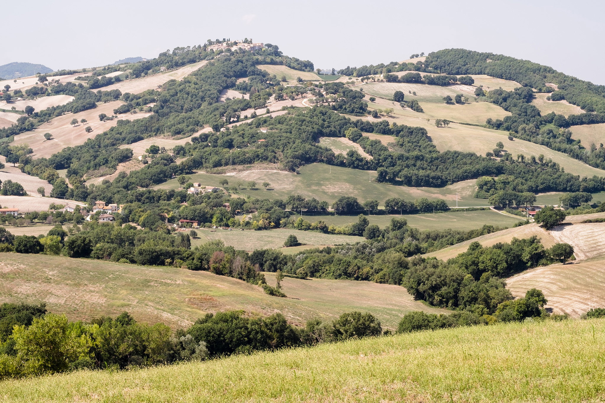 - image: 15