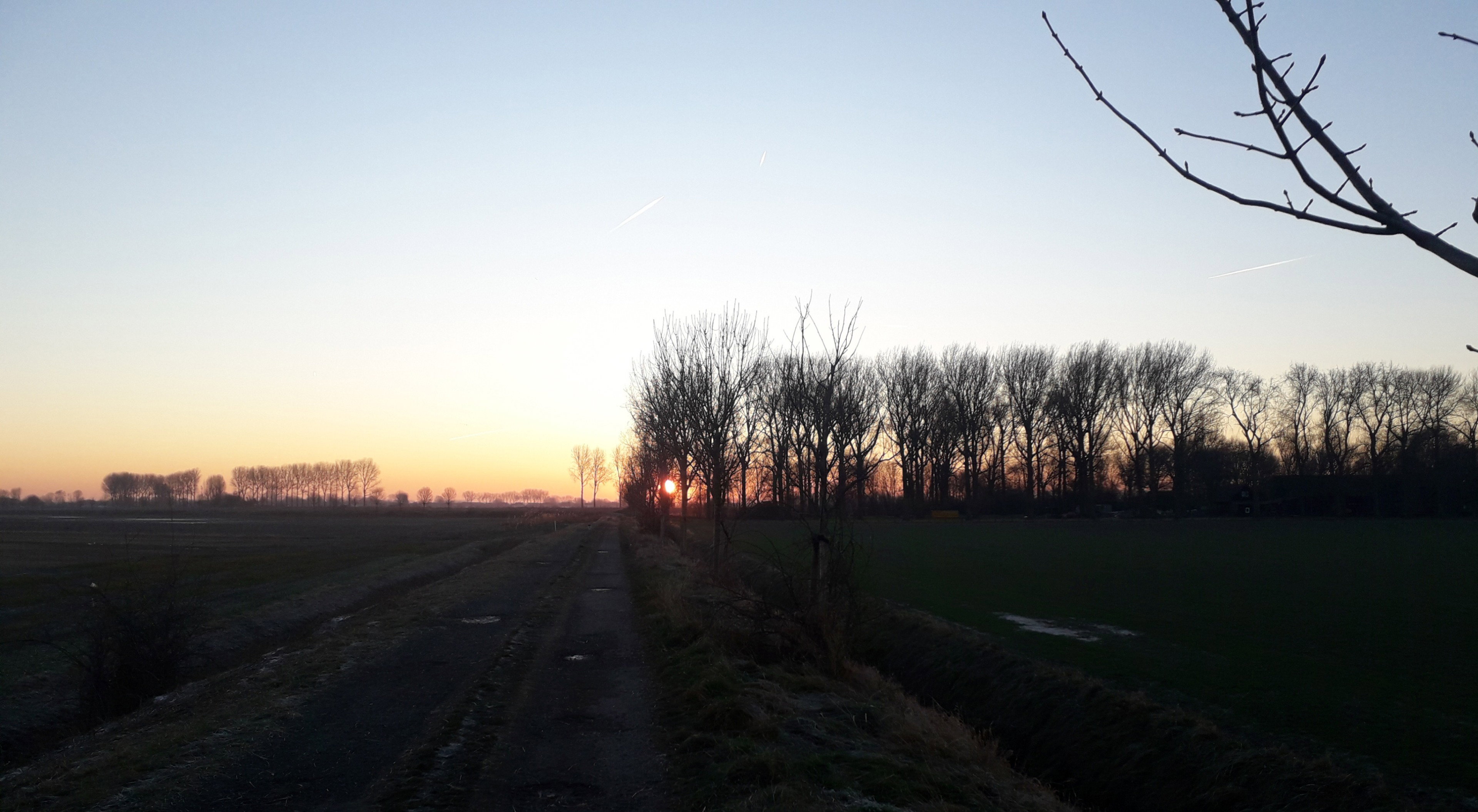 - image: 15