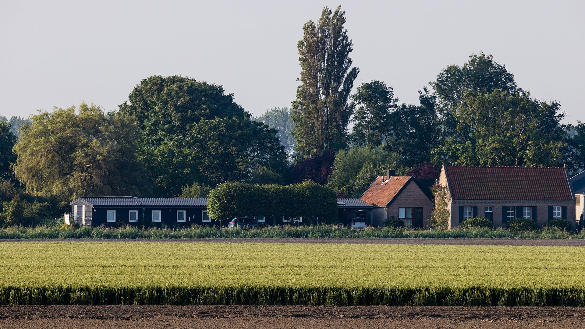 Naturhäuschen in Nieuwvliet