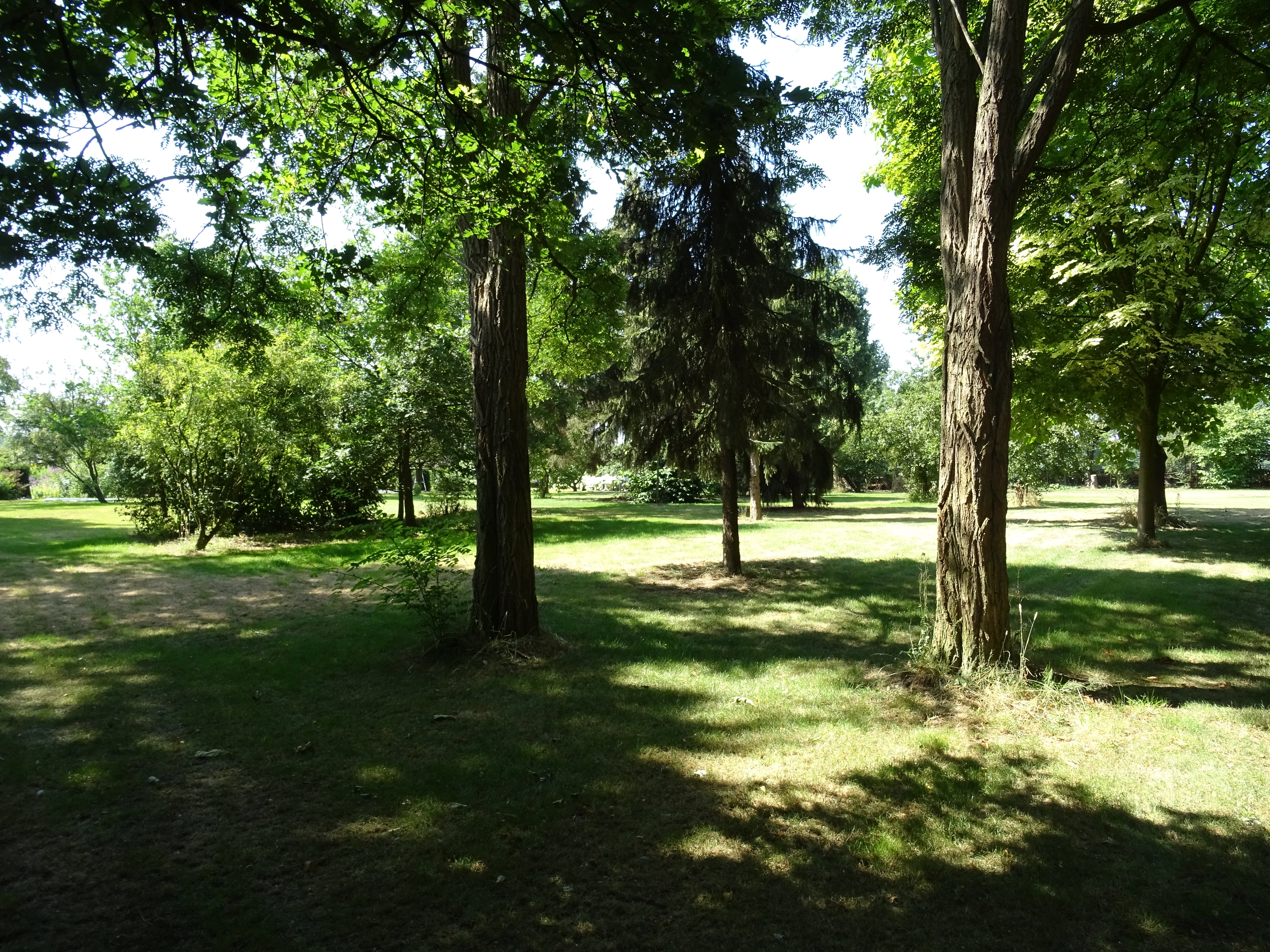 - image: 13