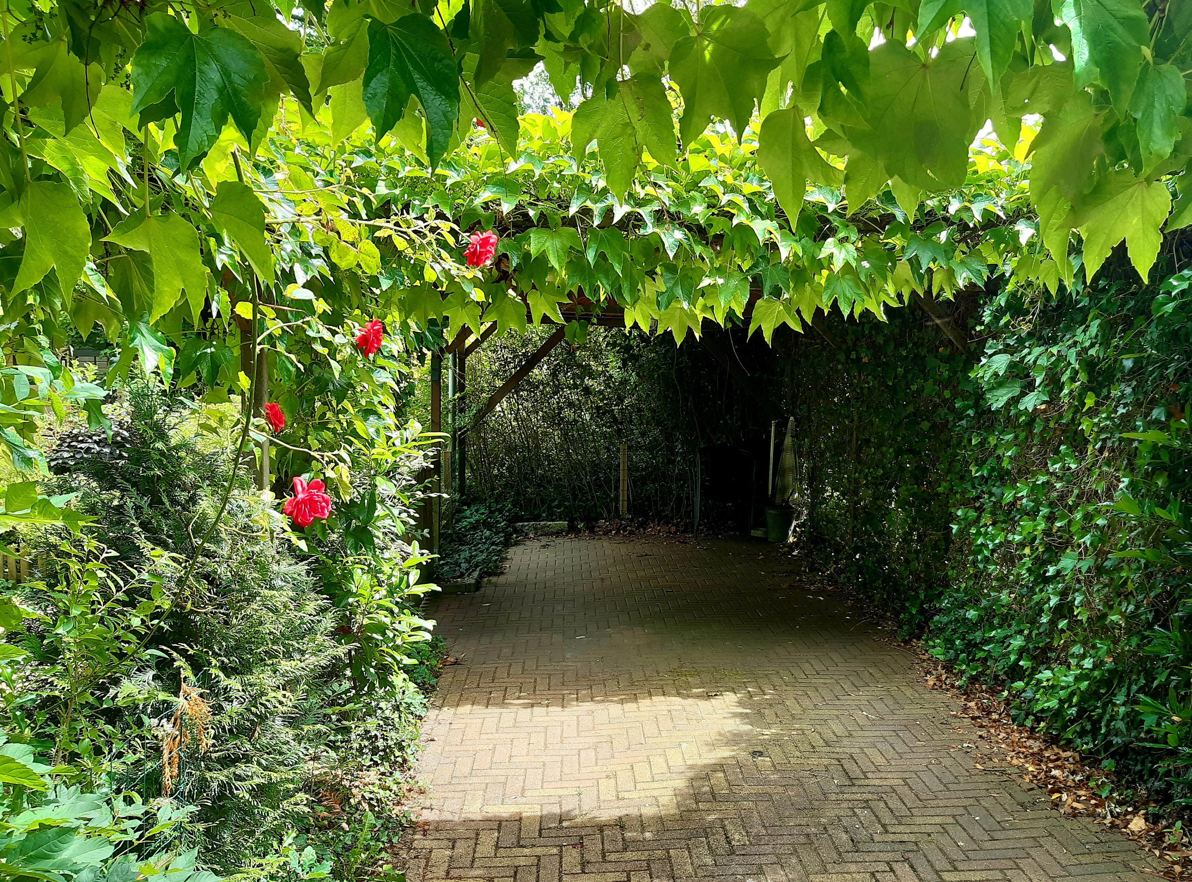 Casa nella natura a Winterswijk