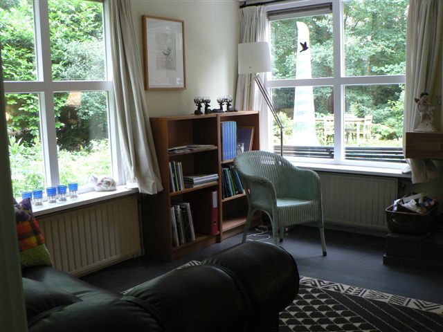 - image: 12