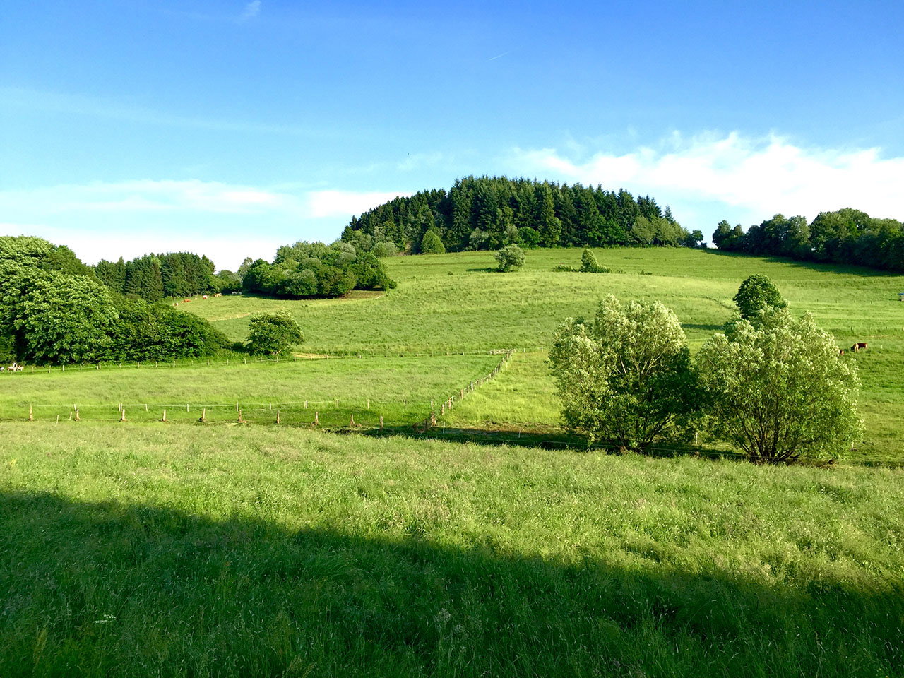 - image: 14