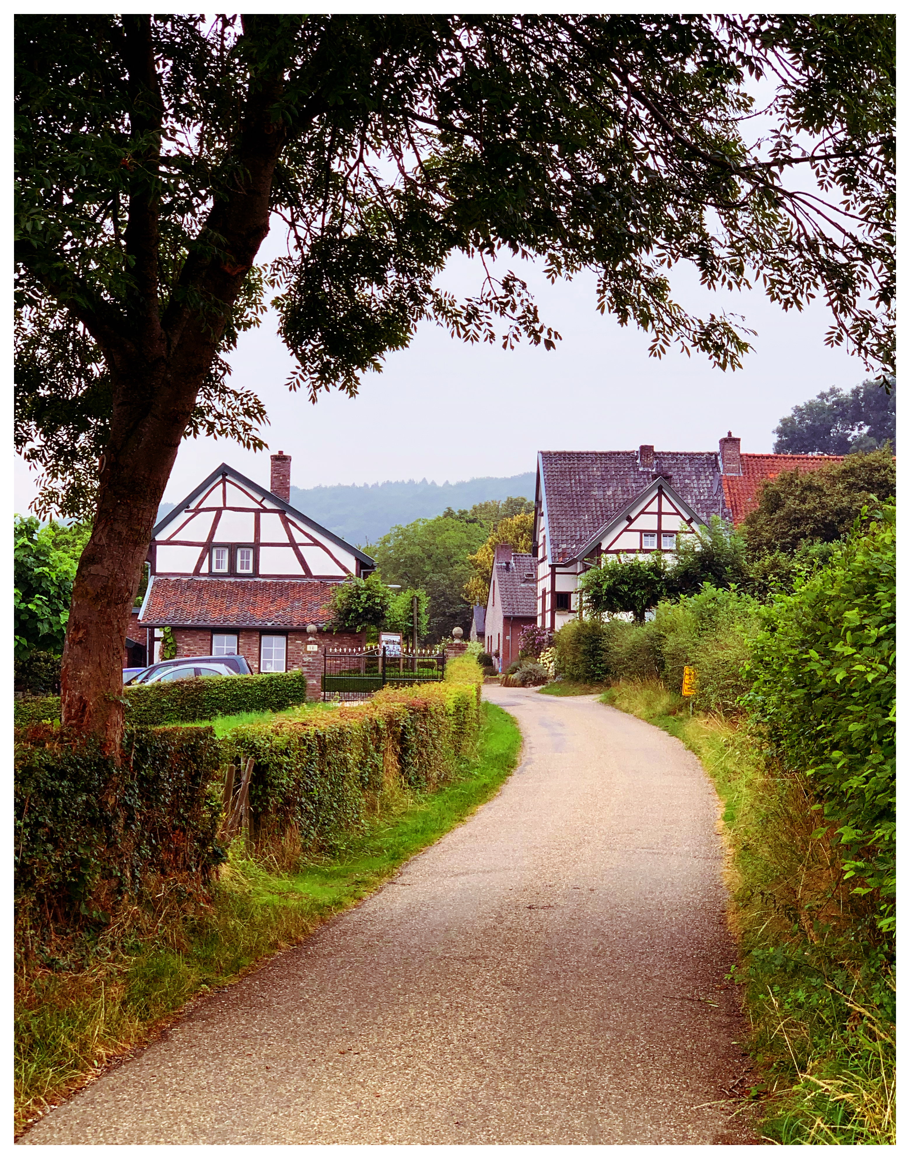 - image: 28
