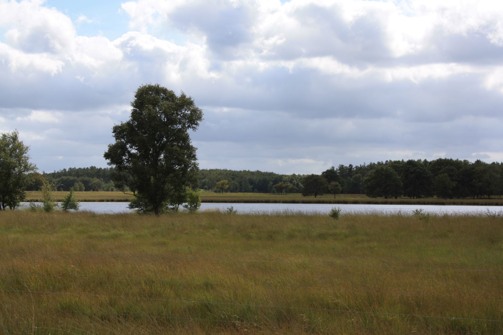 - image: 22