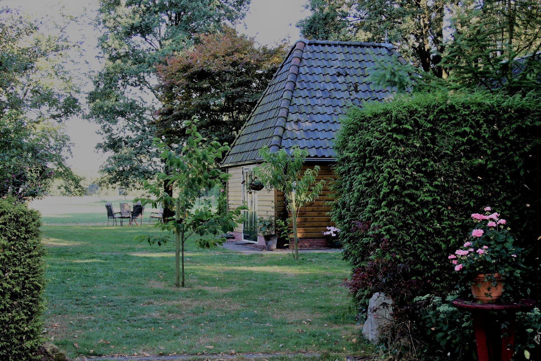 - image: 12