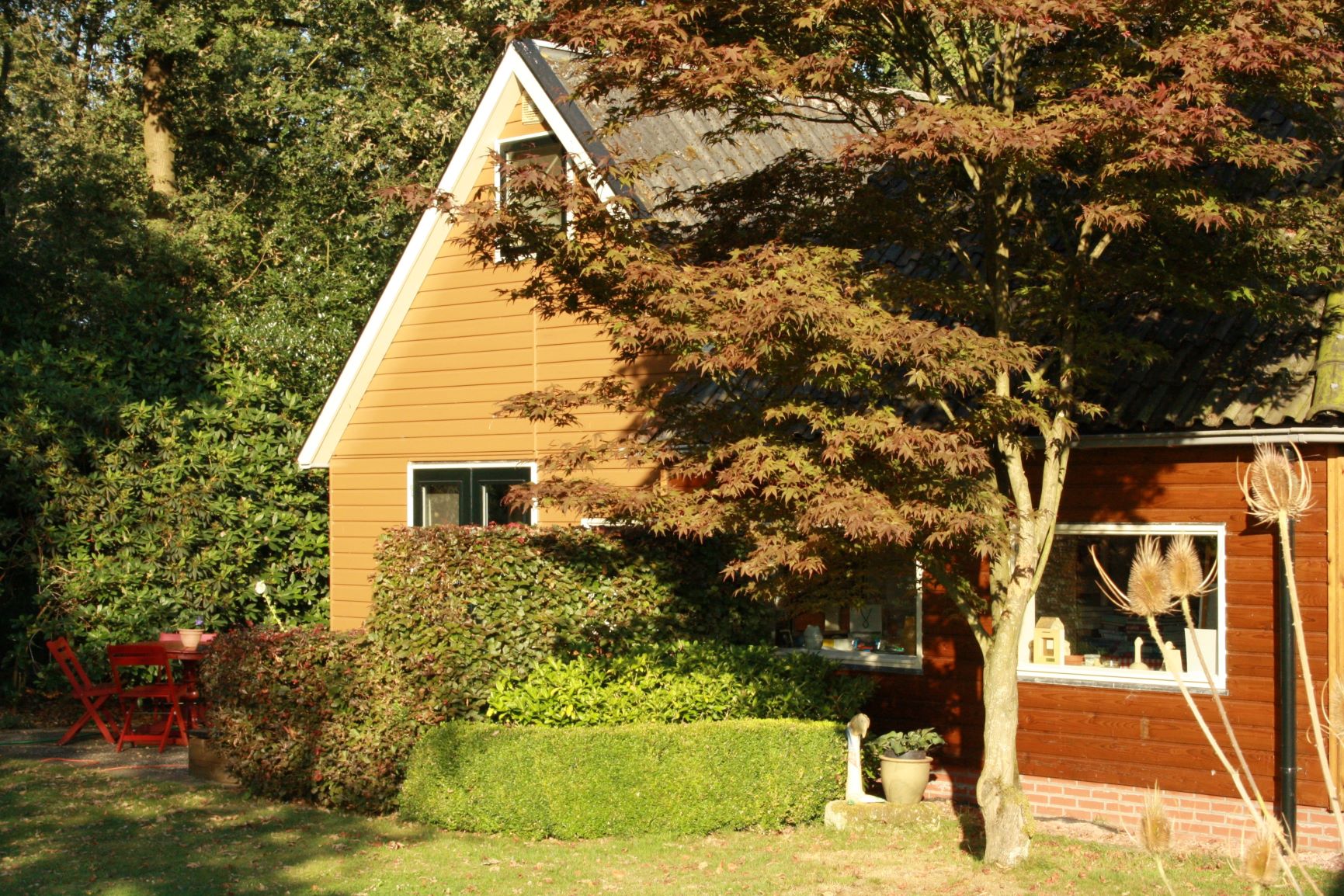 Maison nature à Wijnjewoude