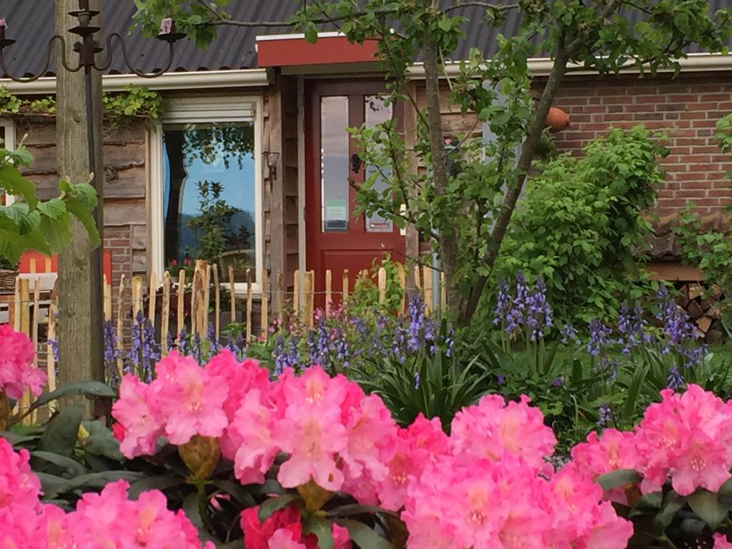 Maison nature à Alteveer