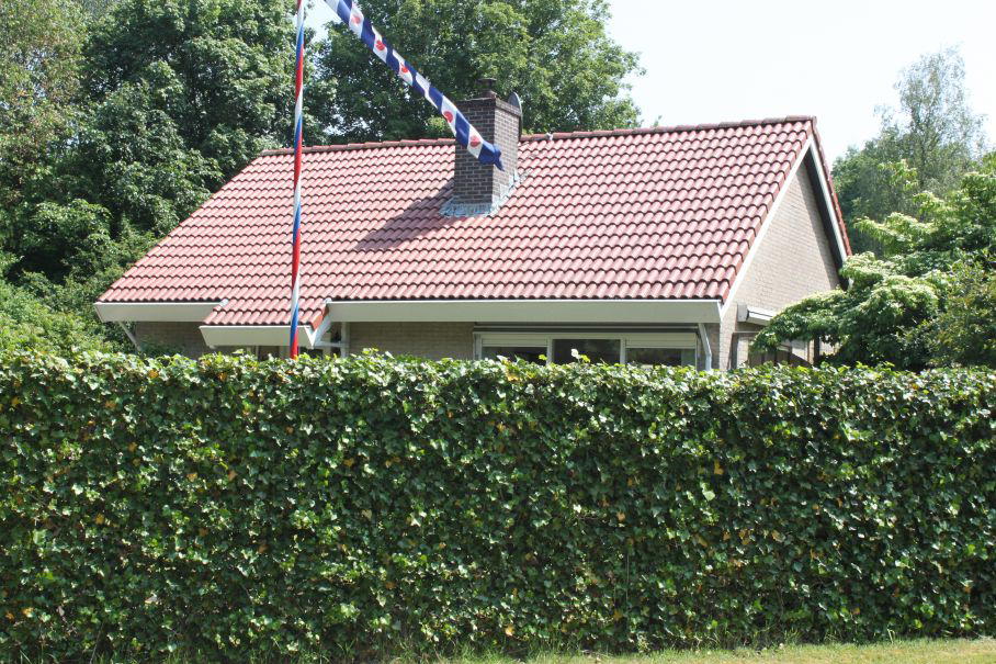Nature house in Appelscha