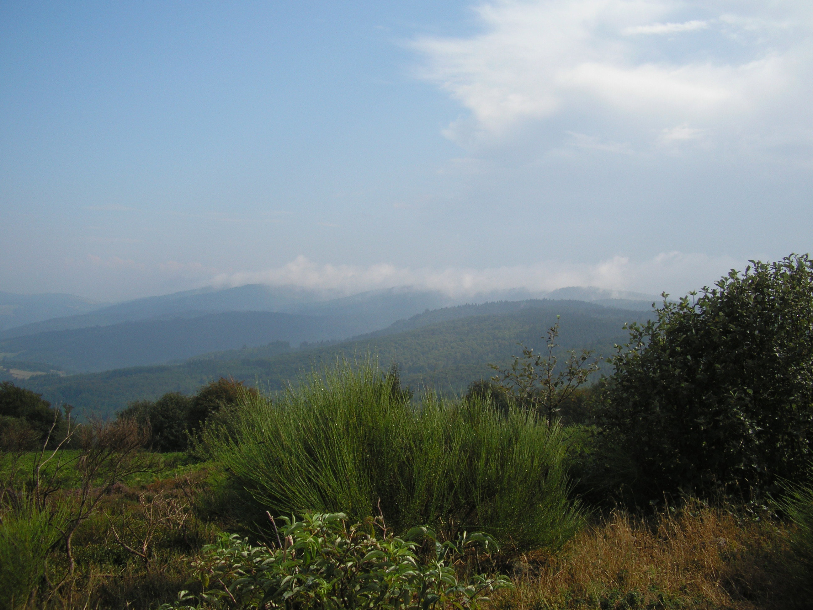 - image: 23