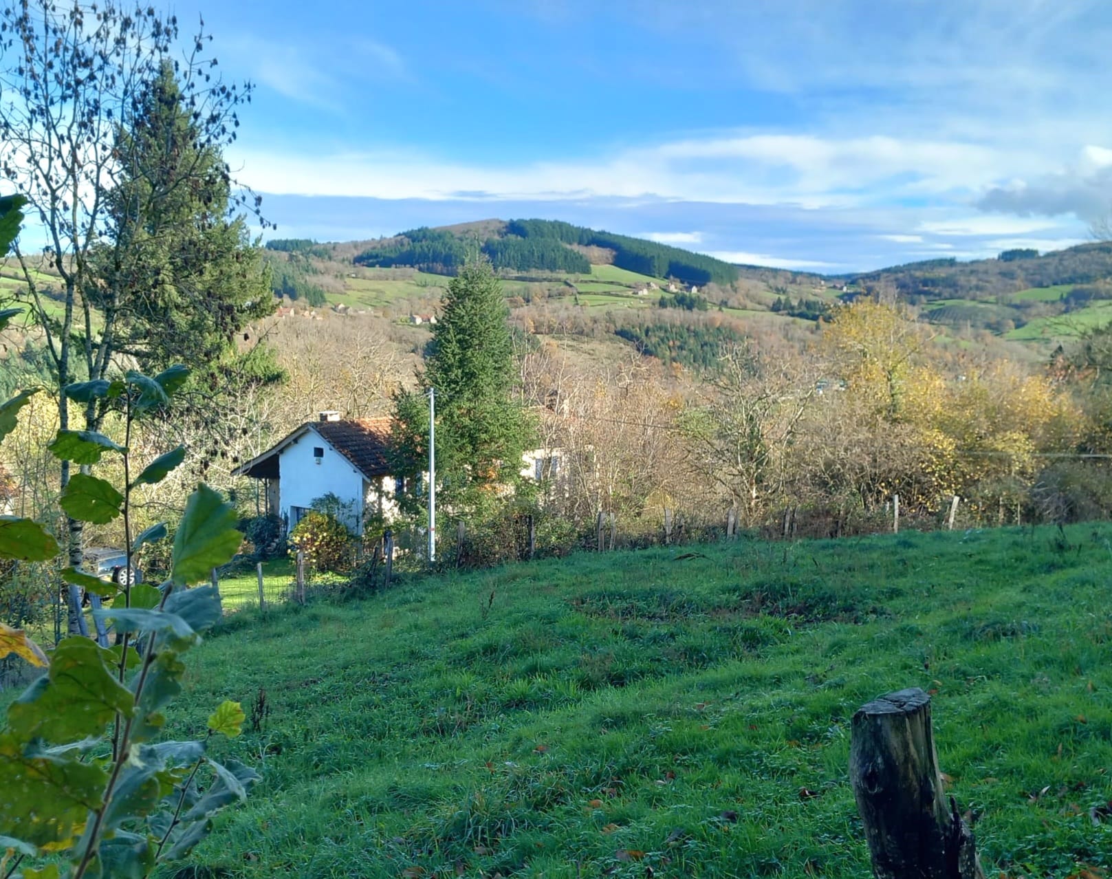 - image: 26