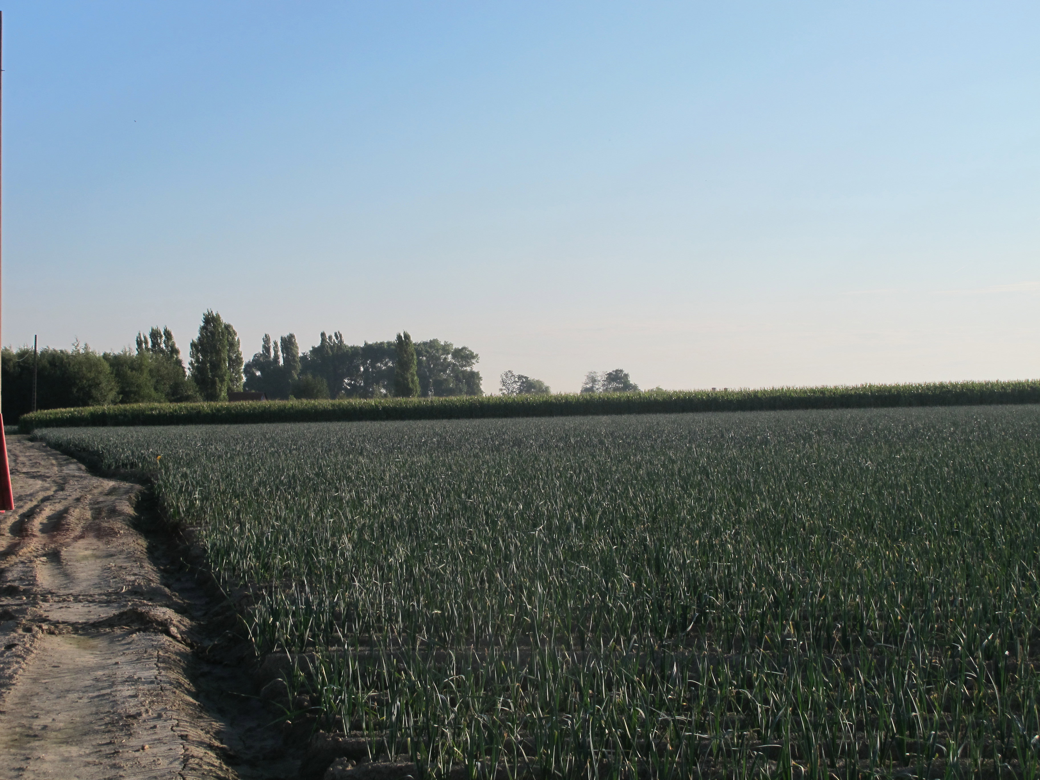 Naturhäuschen in Pittem