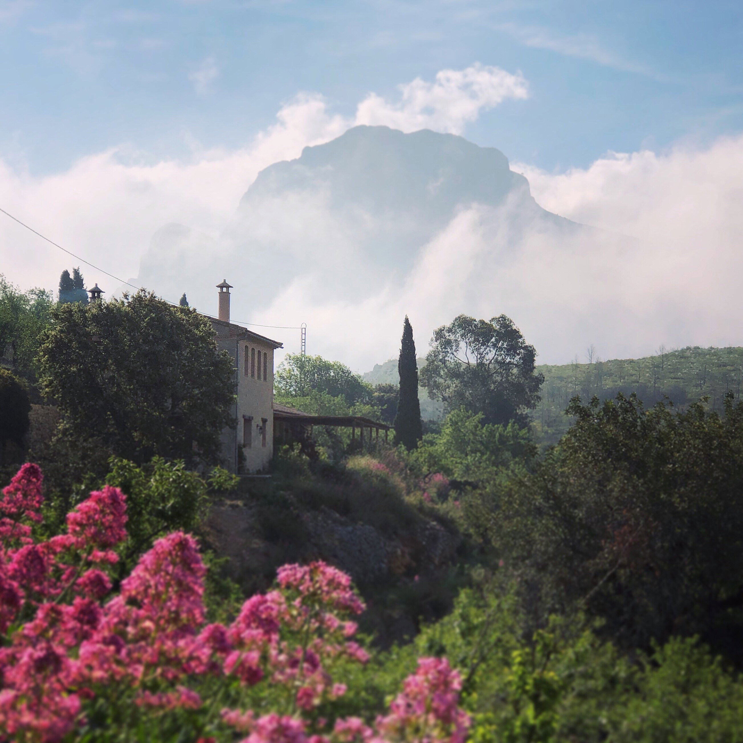 Nature house in Tarbena, Alicante