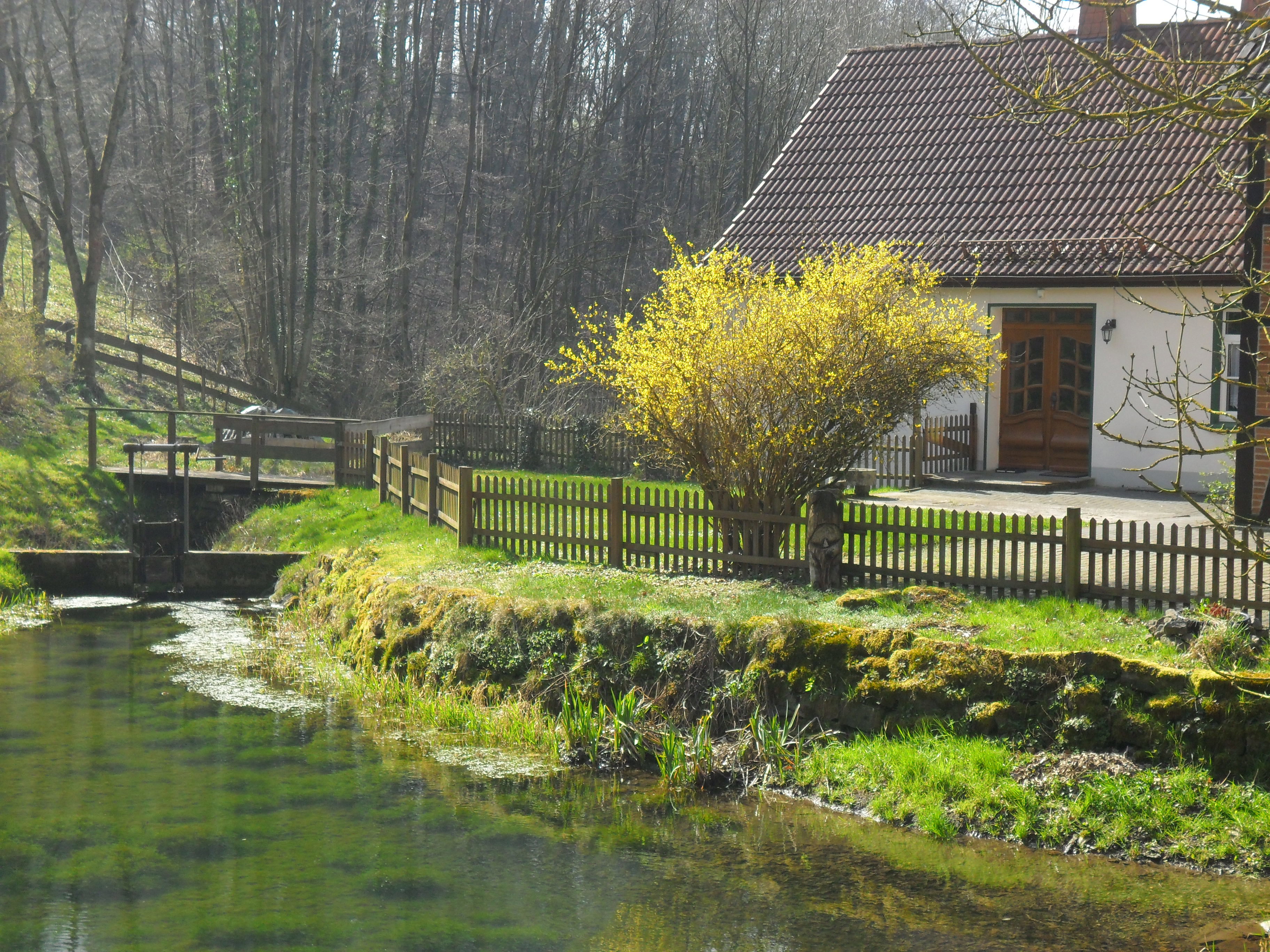 - image: 2