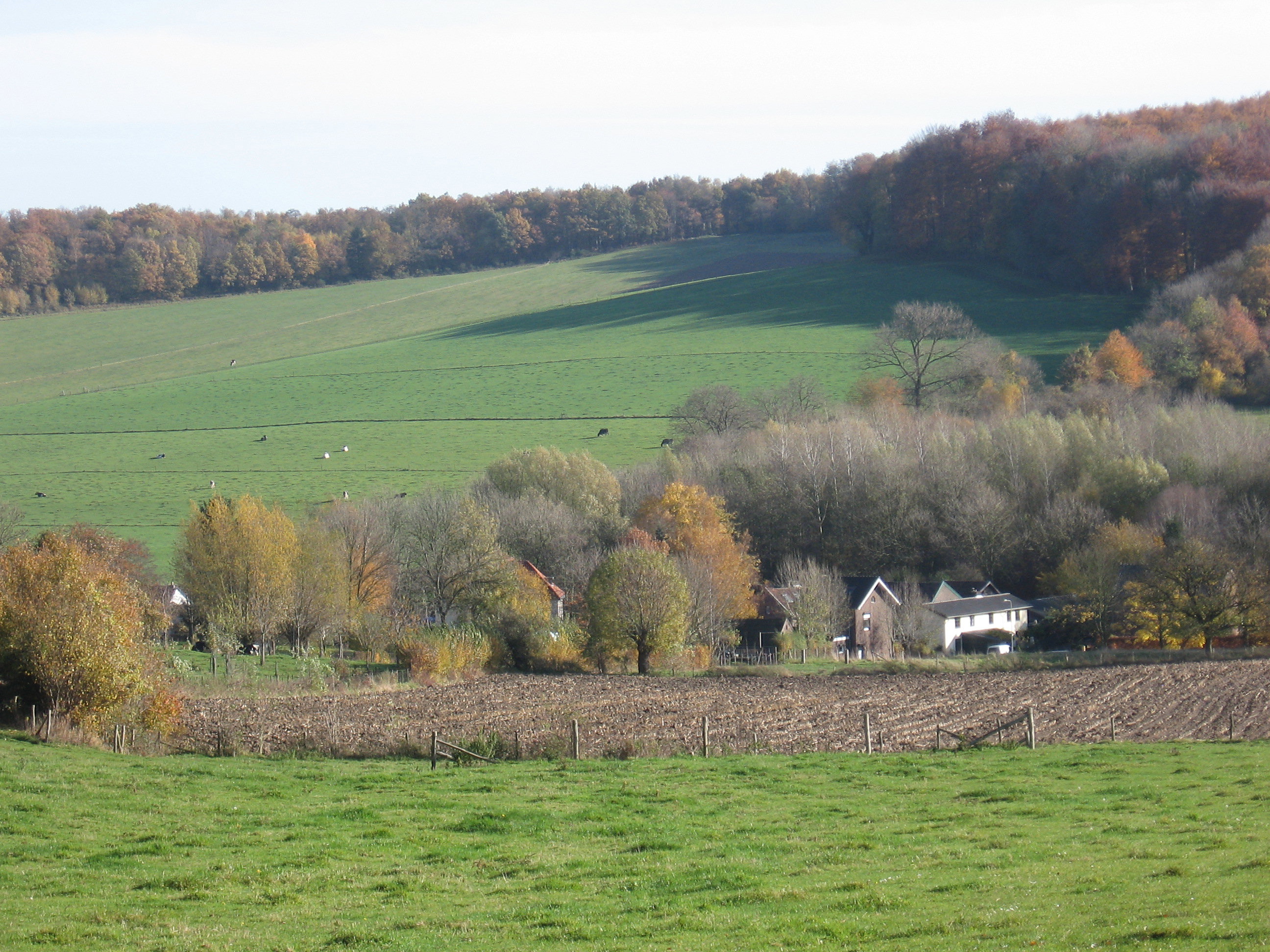 - image: 23