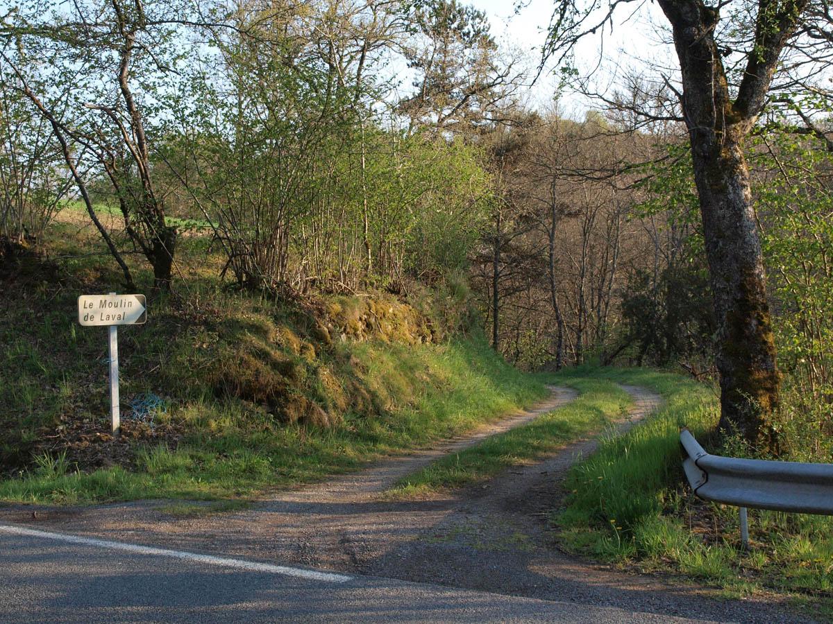 - image: 11