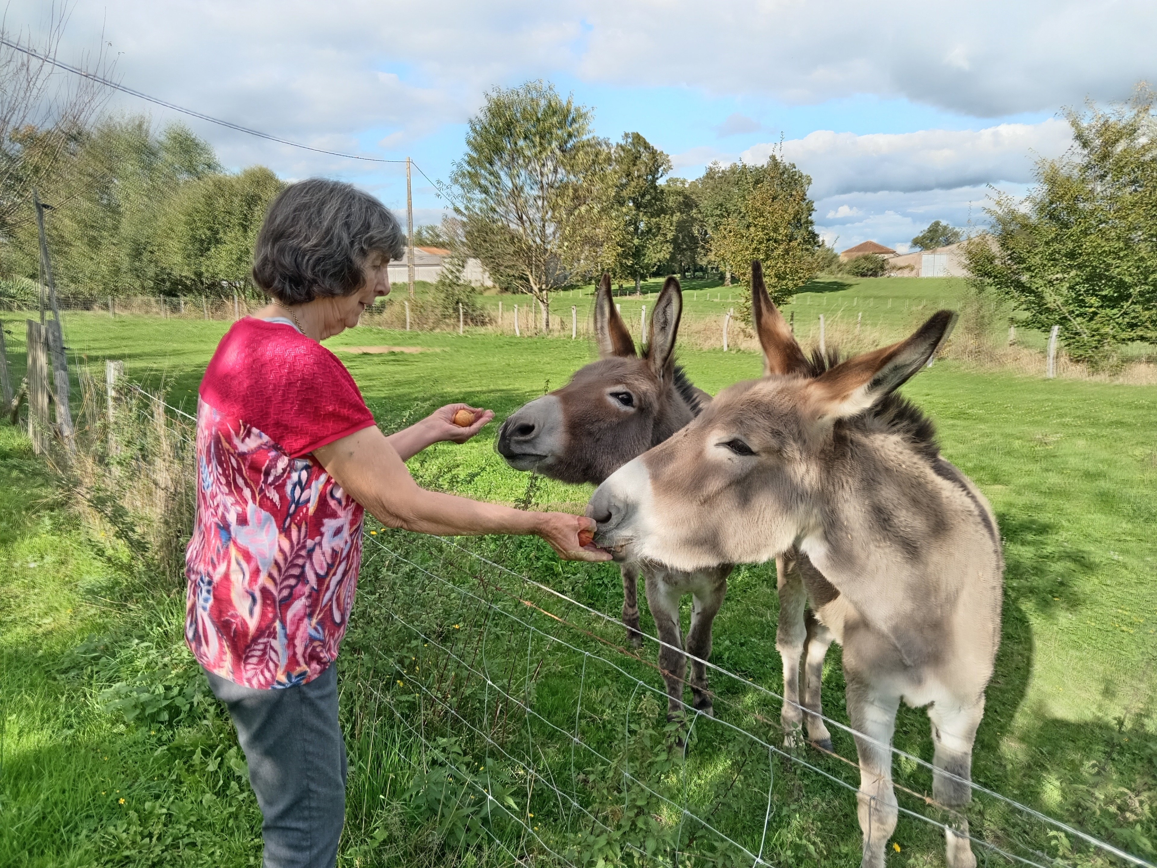 Casa nella natura a Terres-de-Haute-Charente
