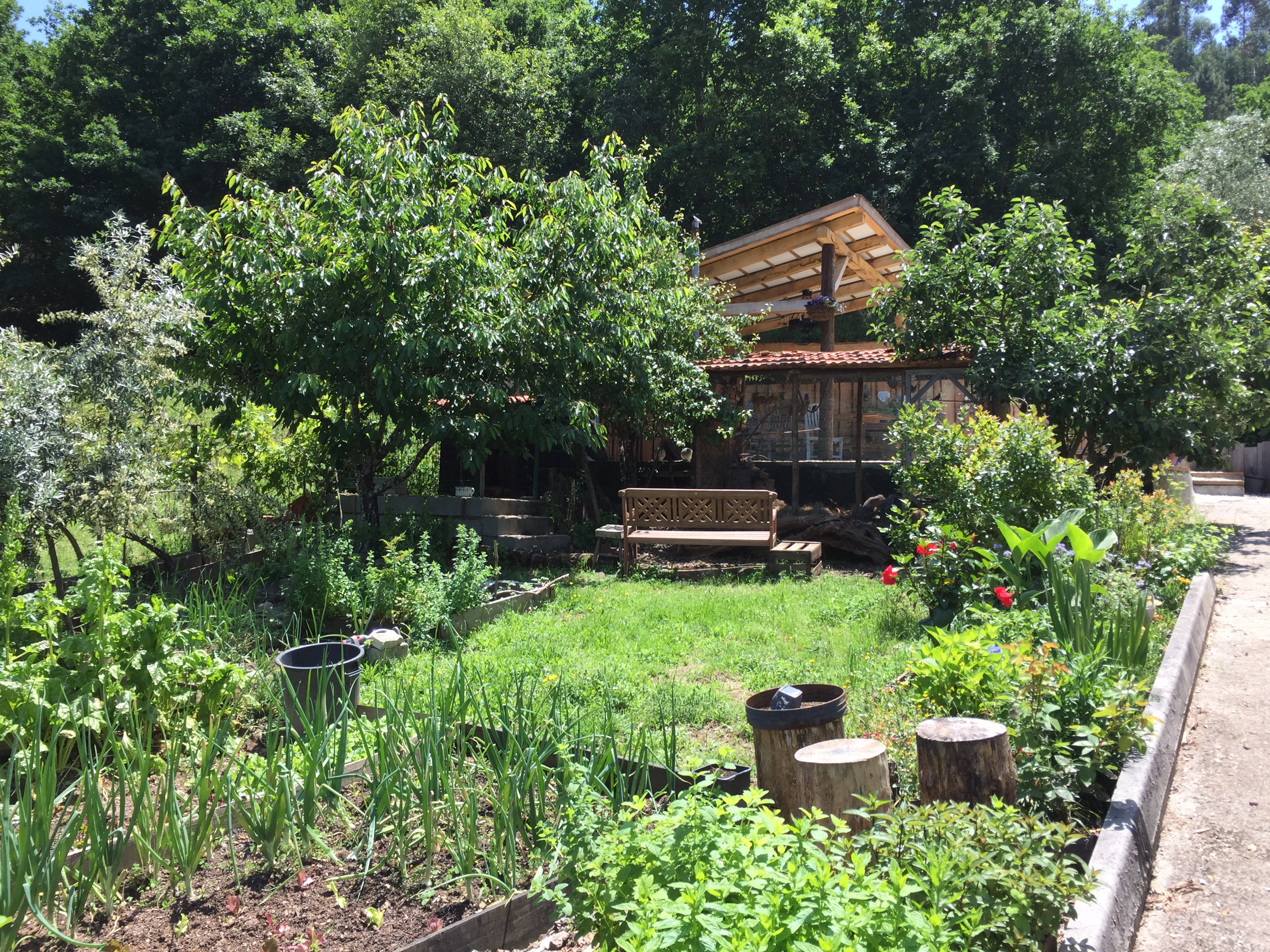 Casa nella natura a Arganil