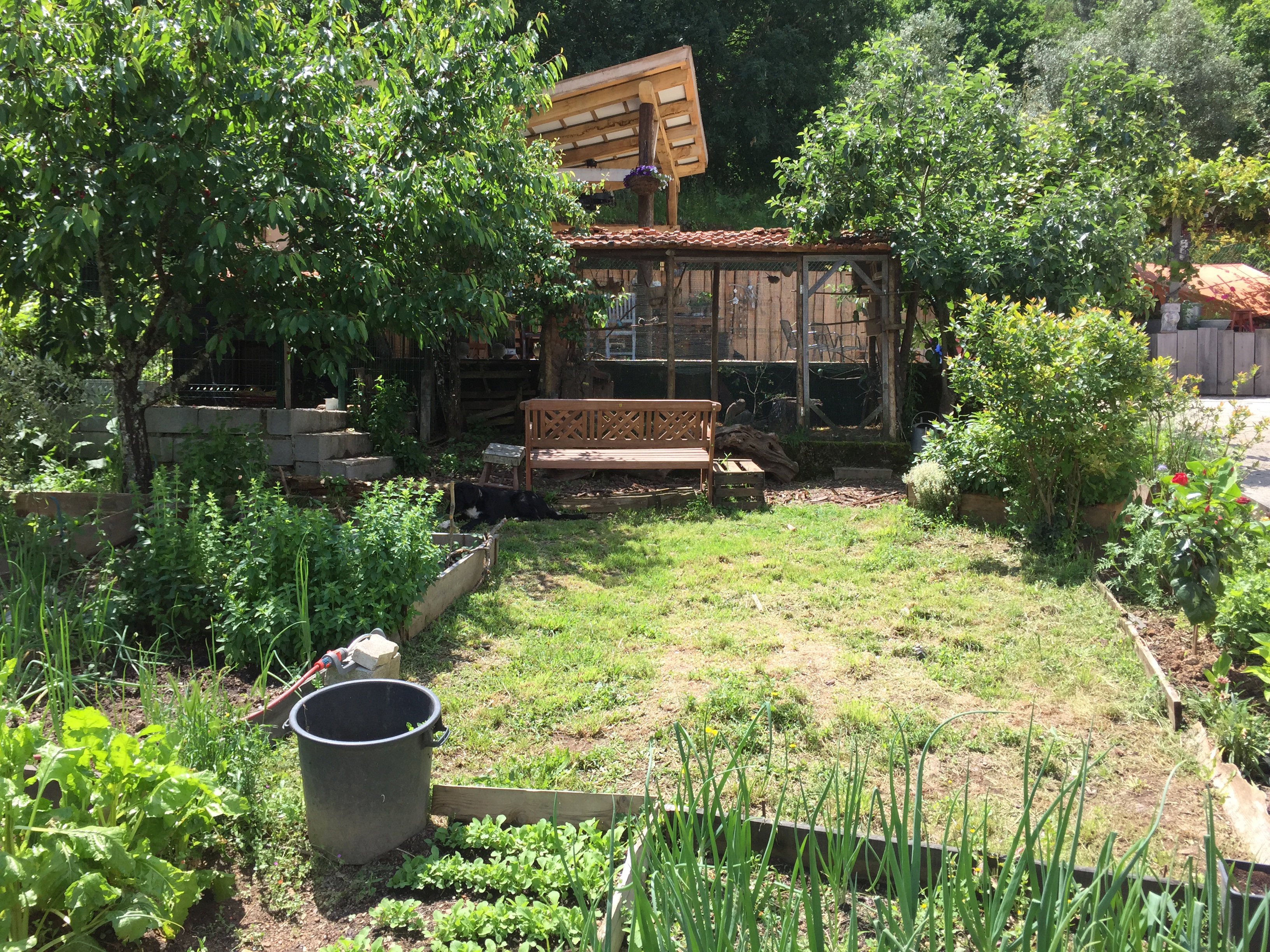 Casa nella natura a Arganil
