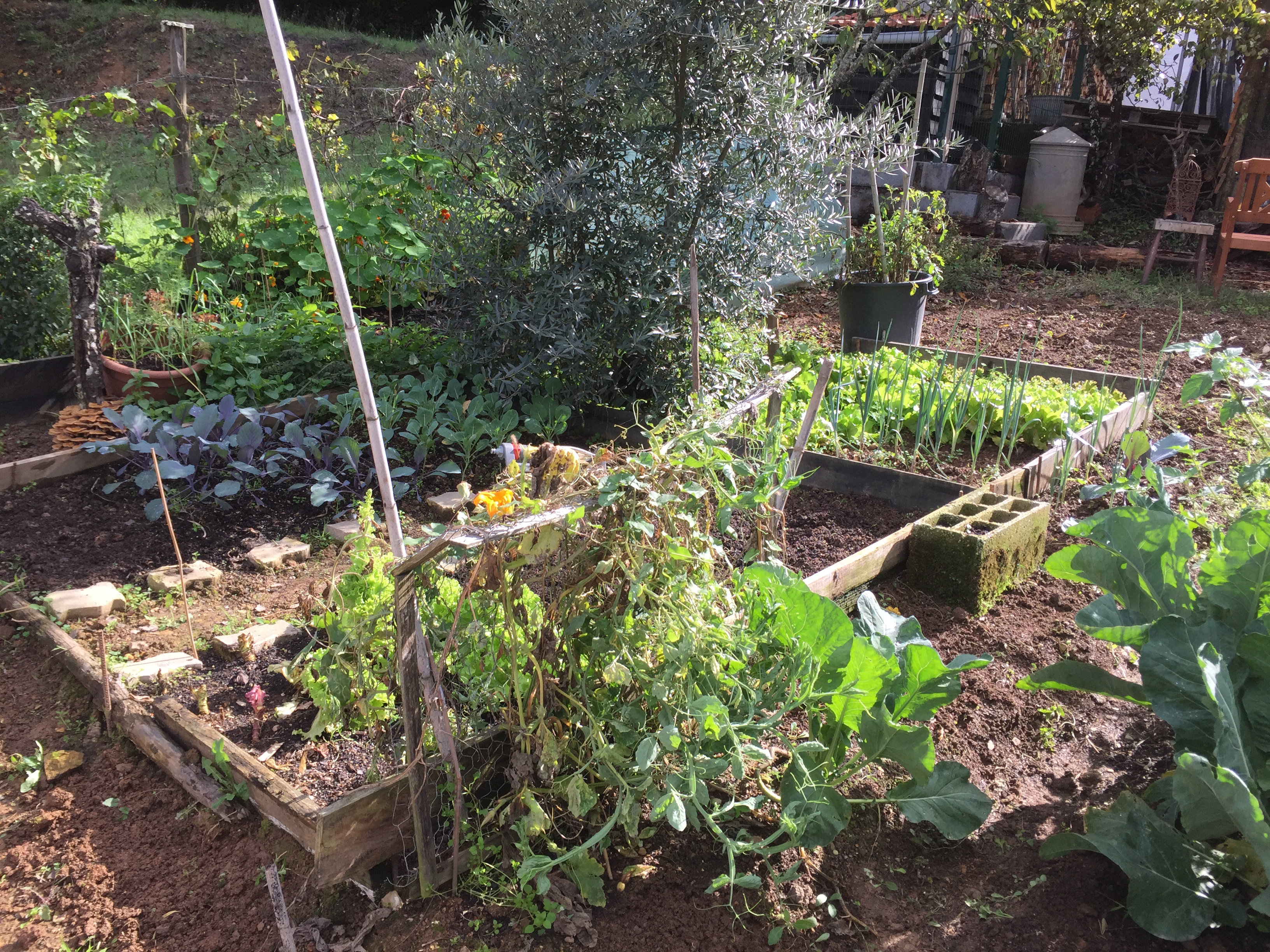 Casa nella natura a Arganil