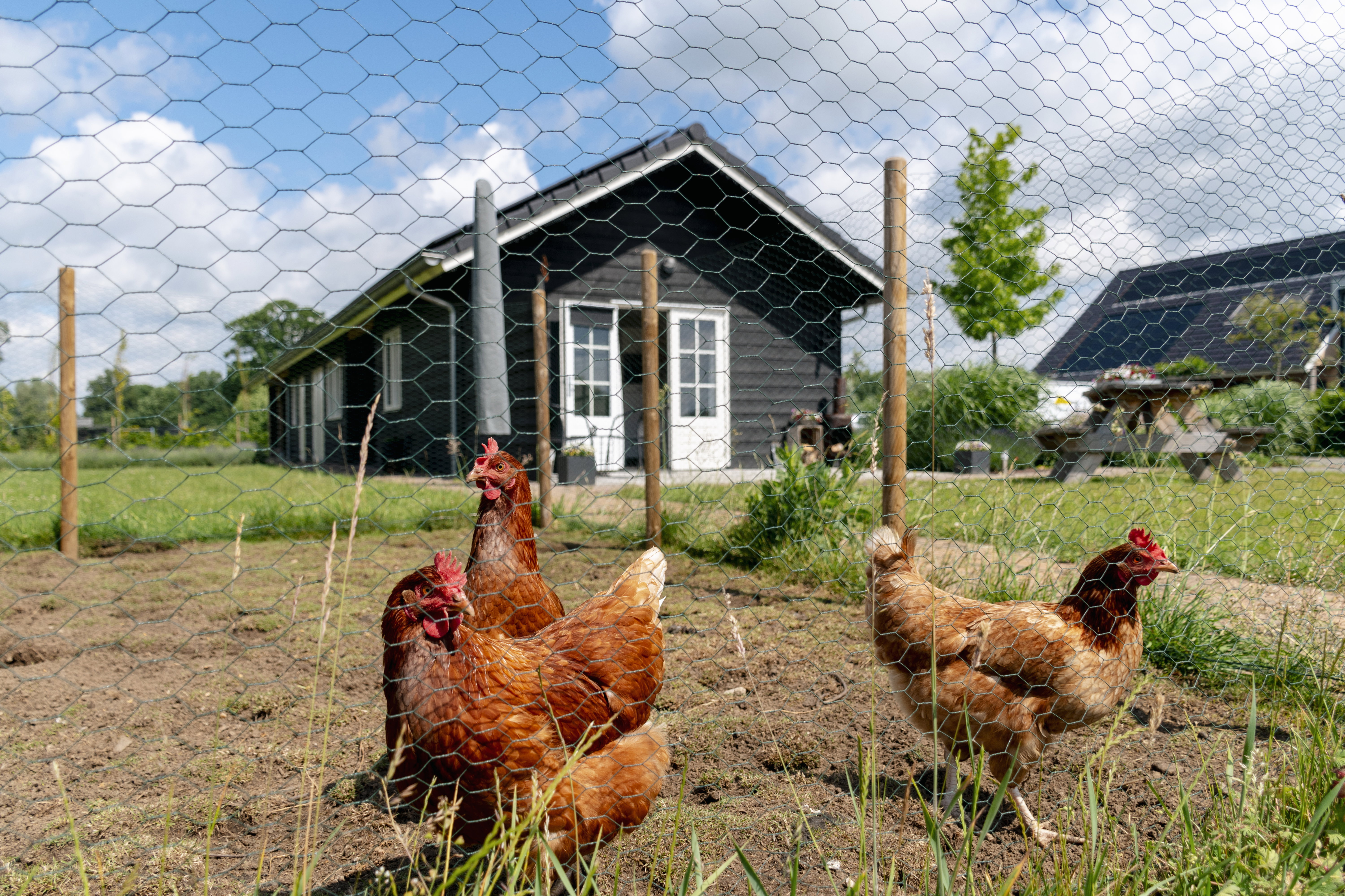 Casa nella natura a Doetinchem