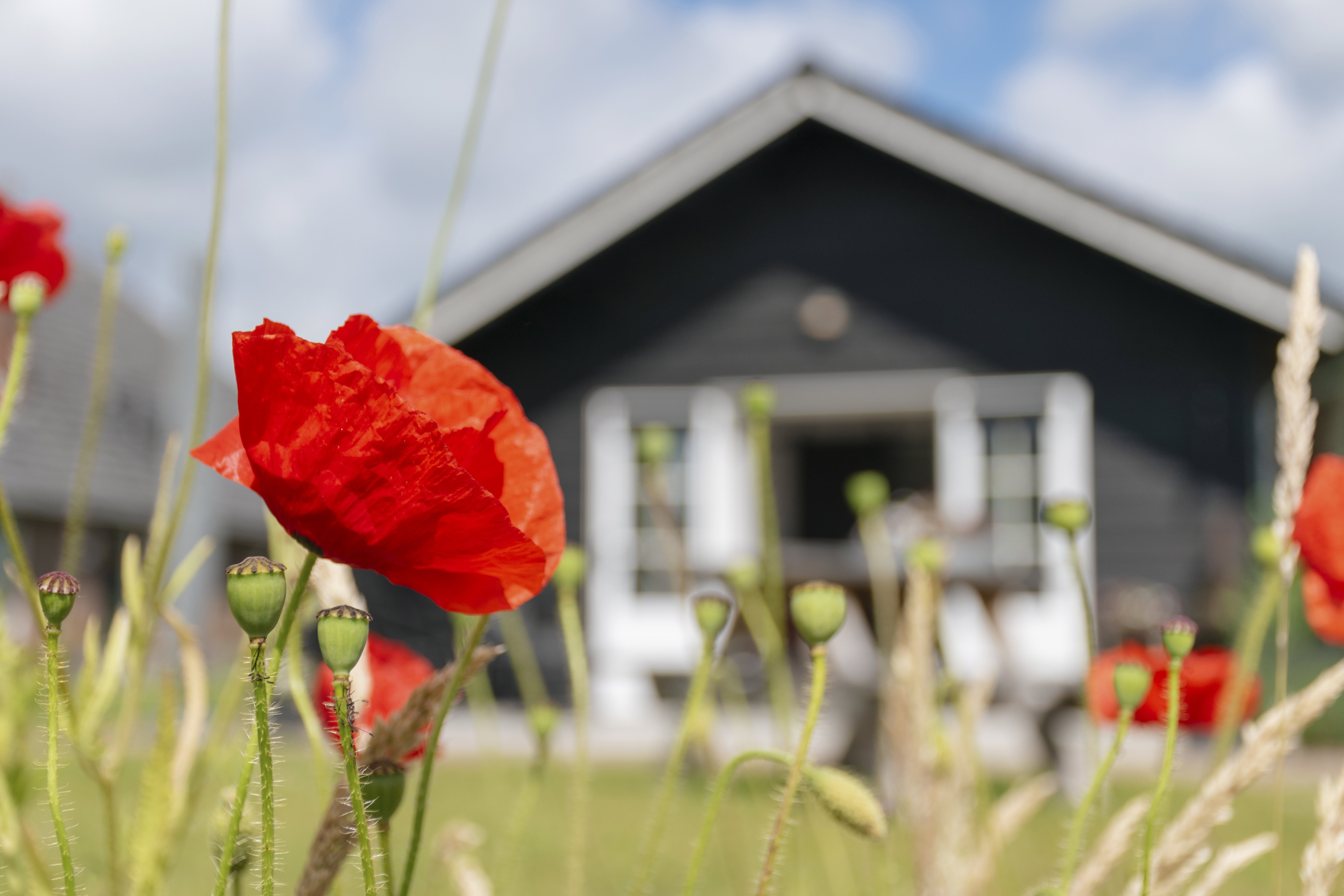 Casa nella natura a Doetinchem
